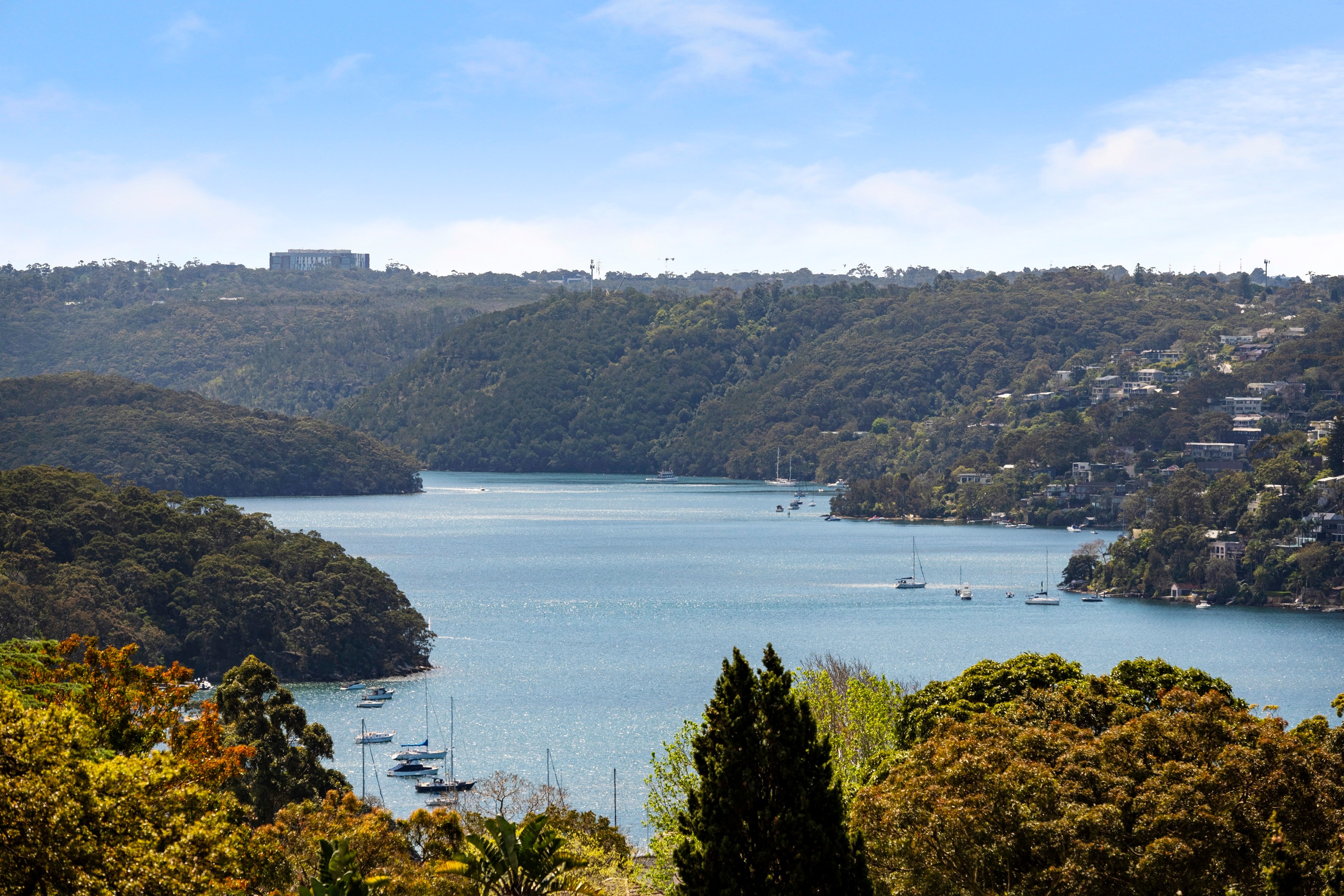 74 Macpherson Street, Cremorne, NSW 2090