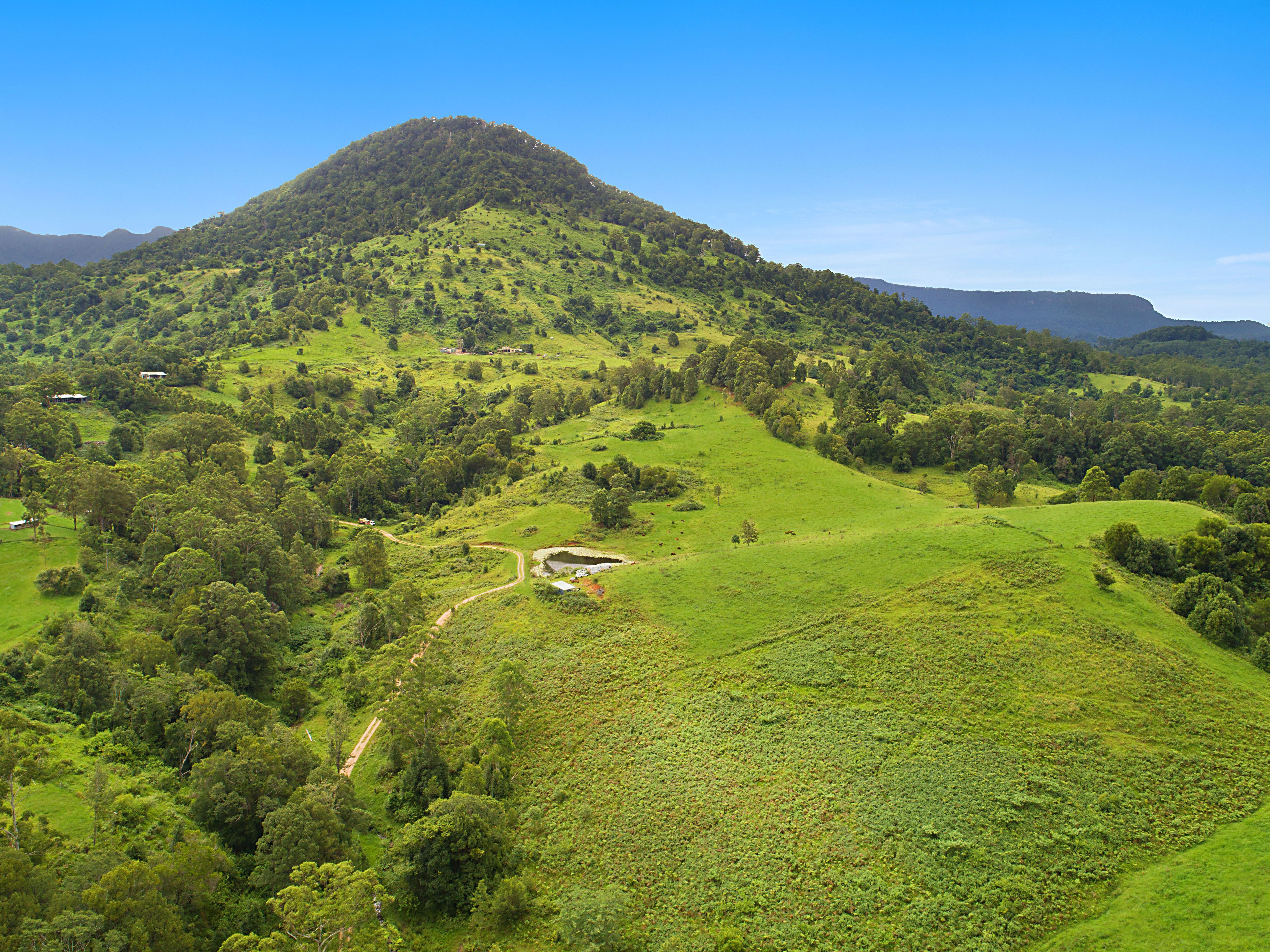 54 Bald Mountain Road, Limpinwood NSW 2484