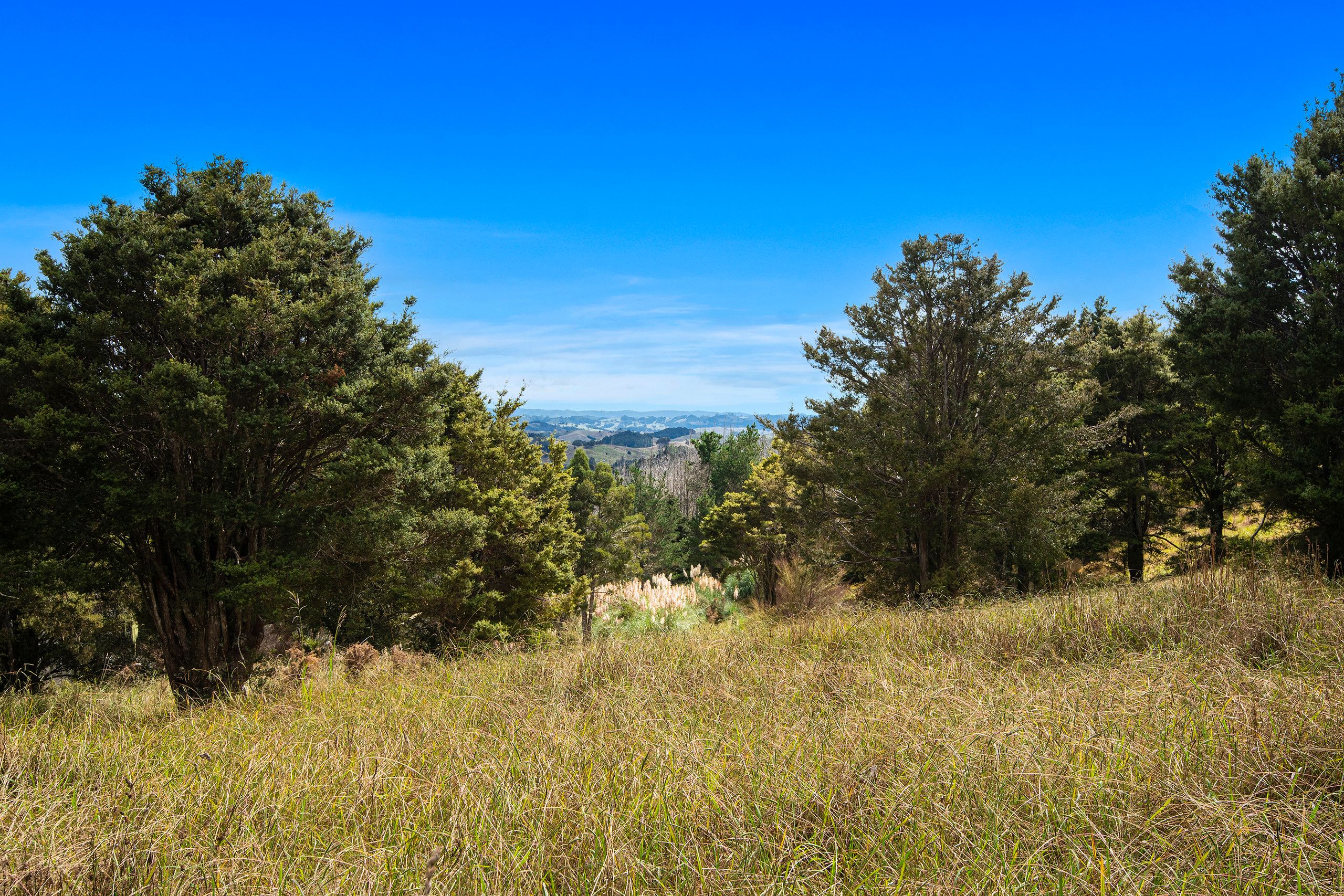 561 Riponui Road, Purua, Whangarei District