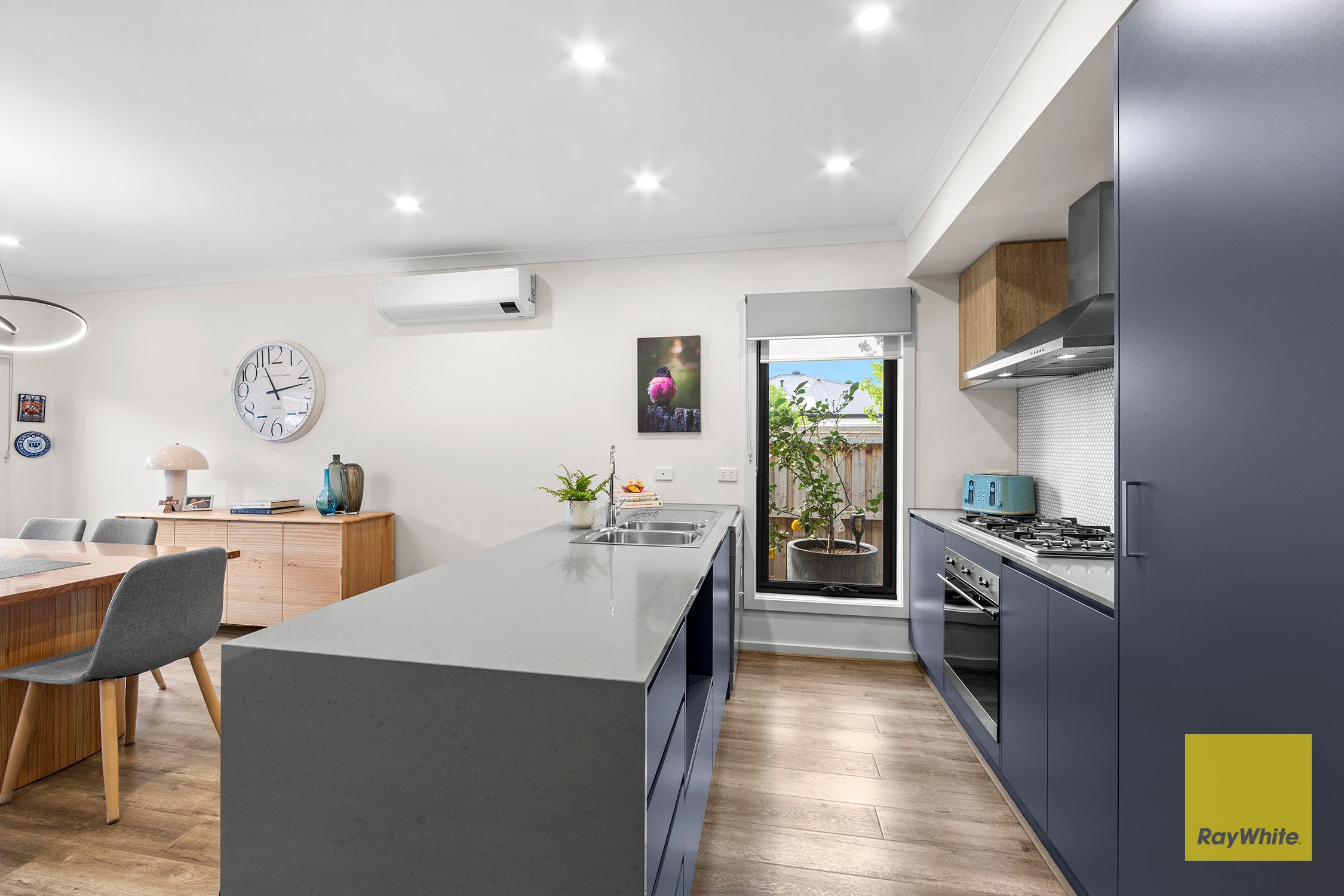 10 Burridge Street — photo 7 of 17