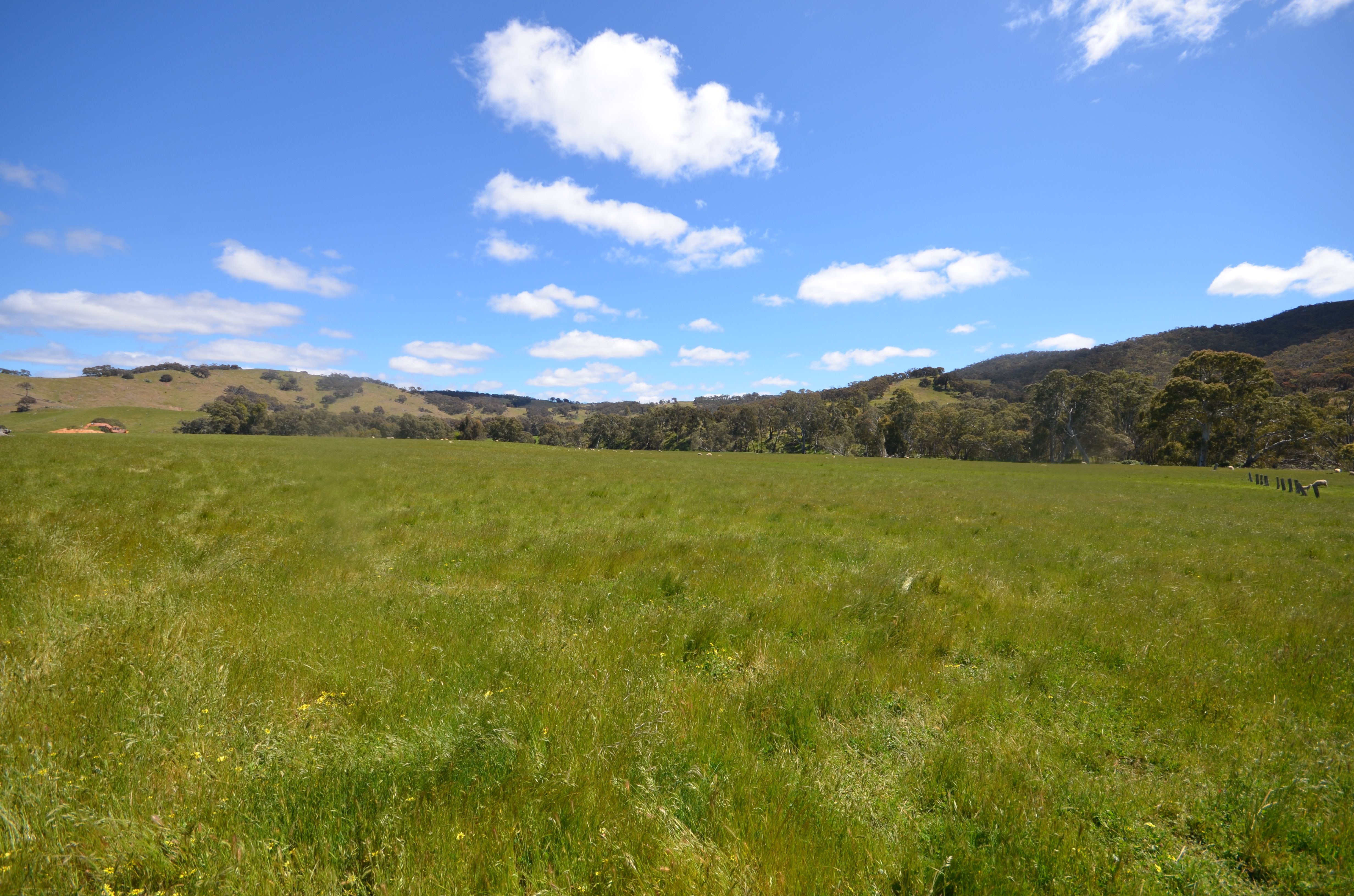 CA 8 Glenlofty-Warrenmang Road, Warrenmang, VIC 3478