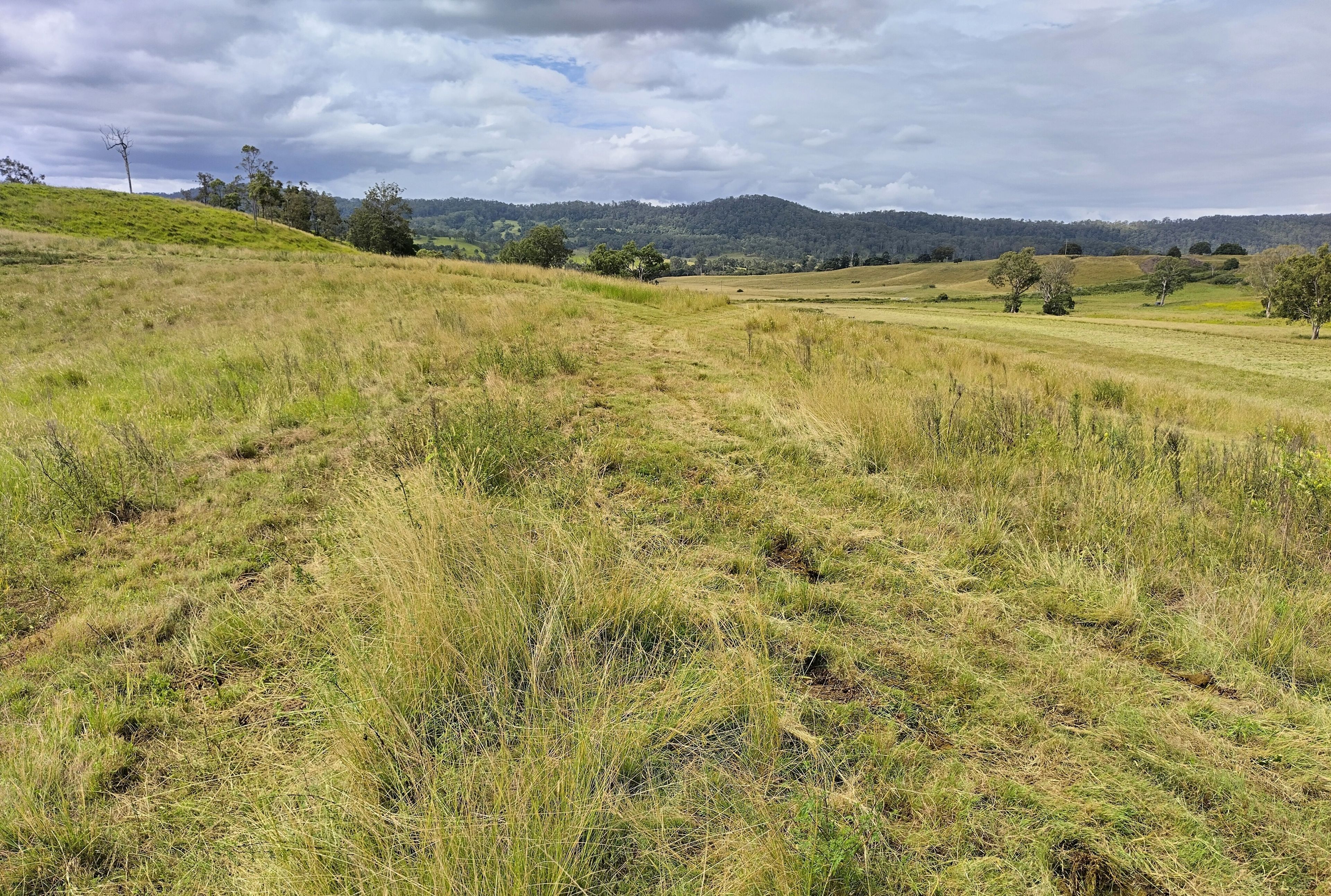 1106 Naughtons Gap Road — photo 10 of 27