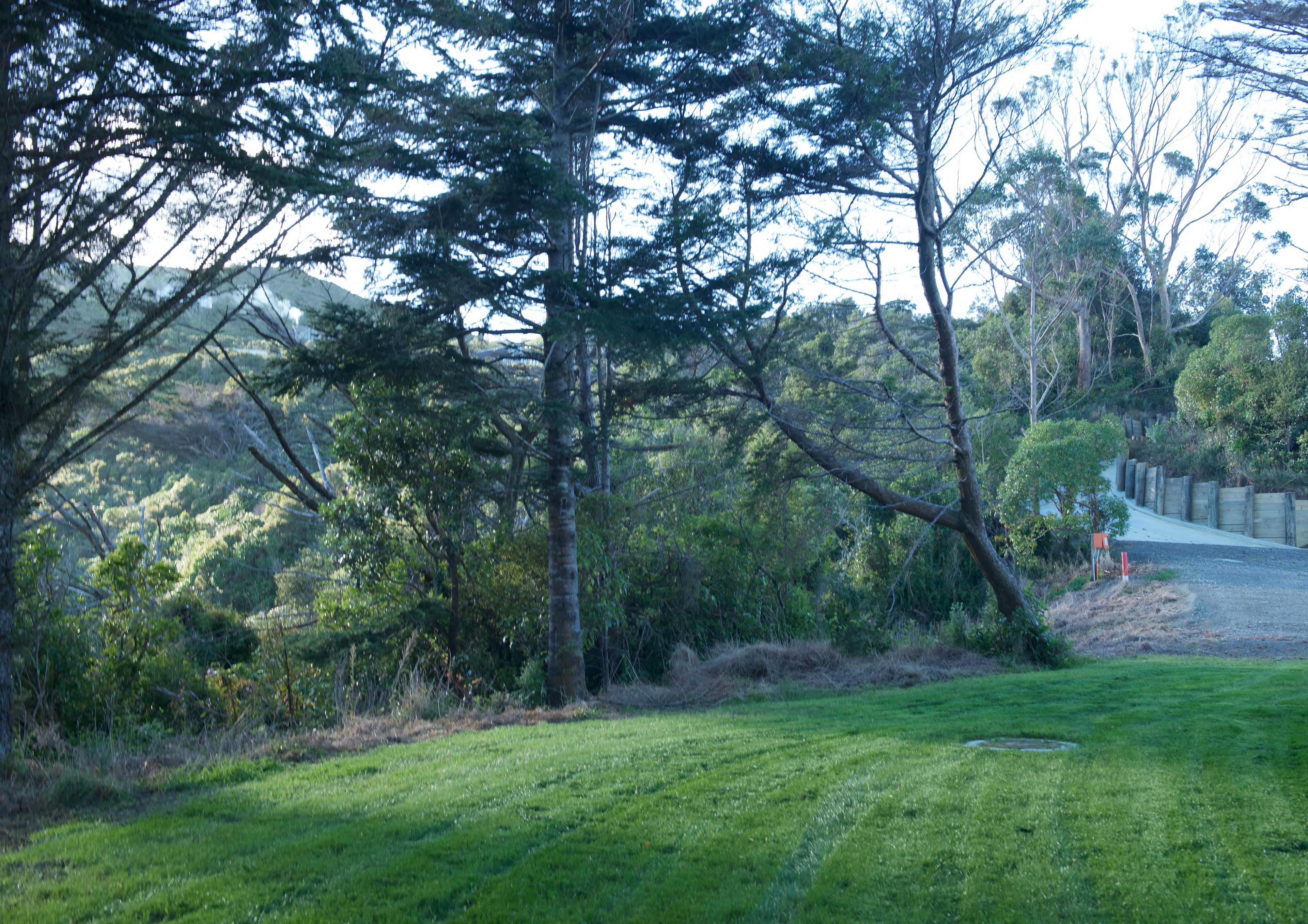 52A Dungarvan Road, Newlands, Wellington City