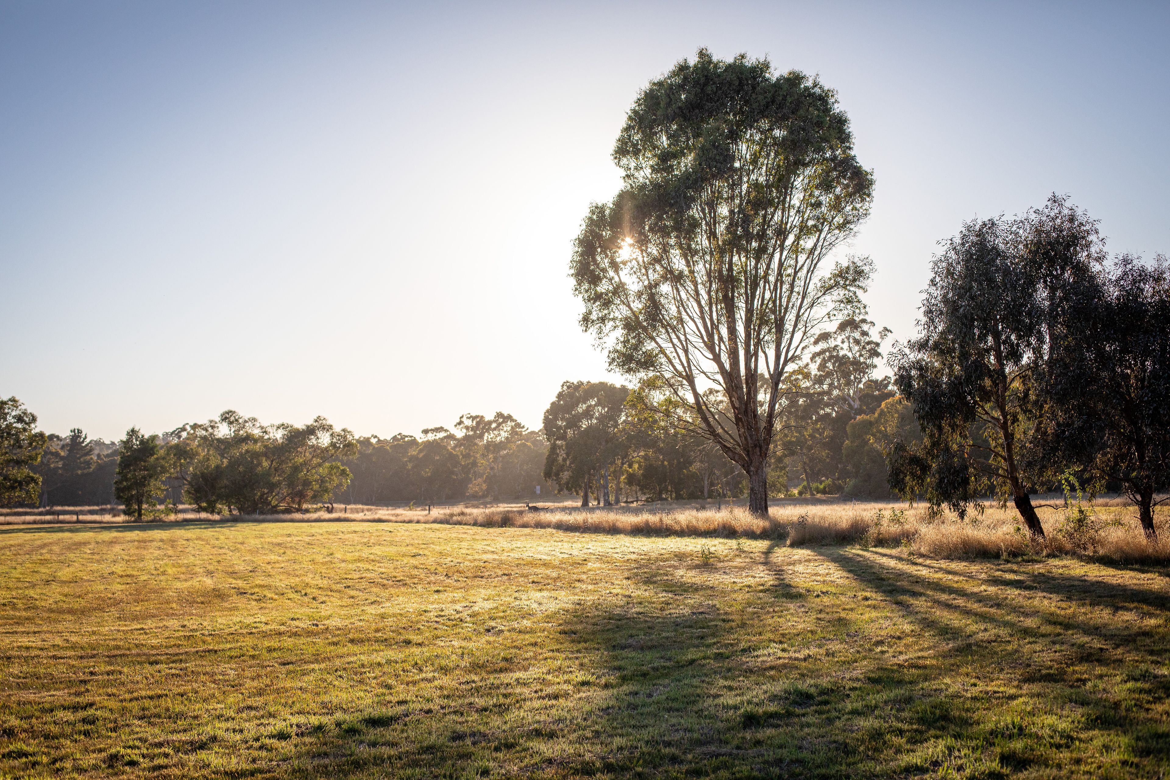 Lot 5 Stockyard Hill Road, Beaufort, VIC 3373