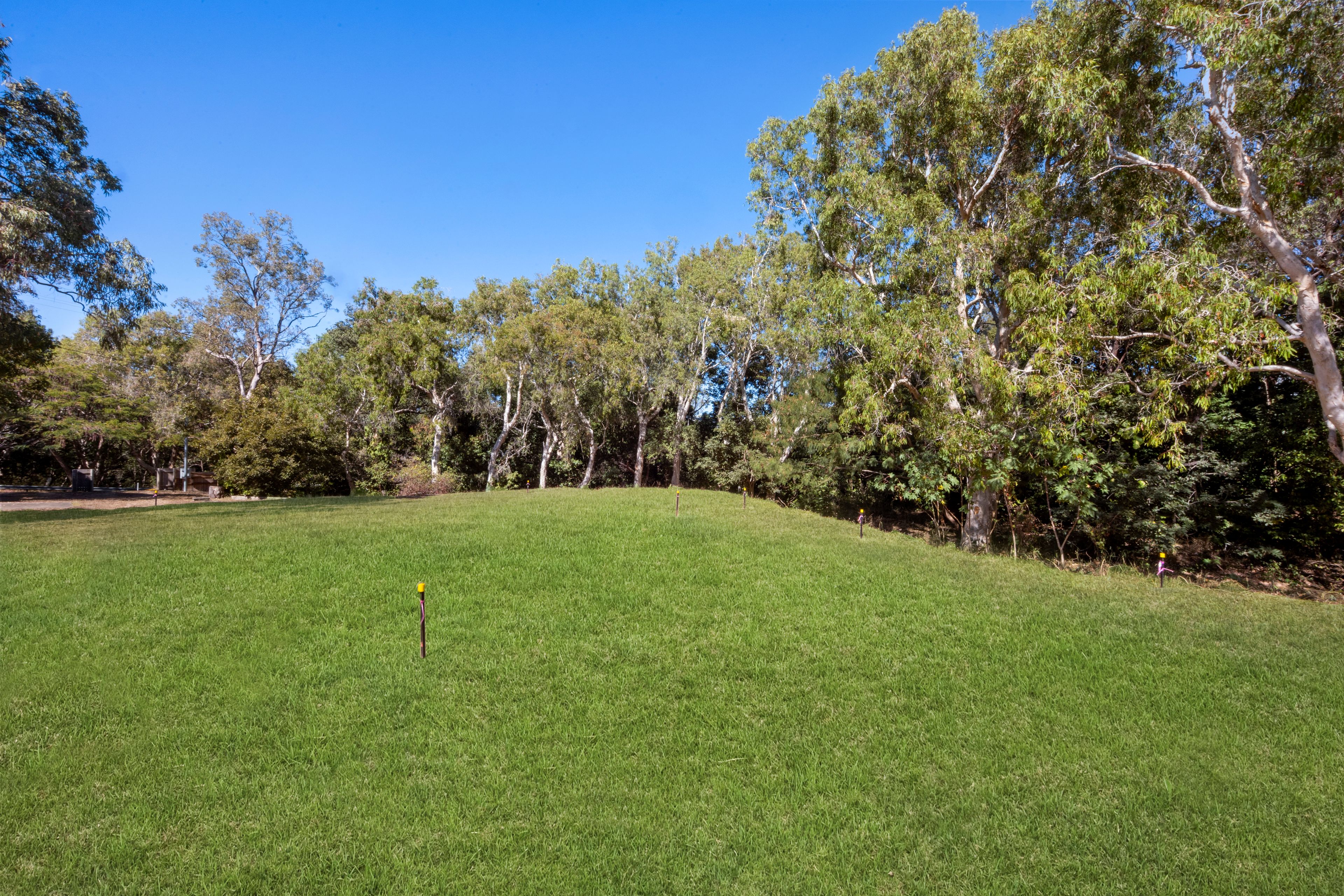 30-32 Birt Street — photo 4 of 12