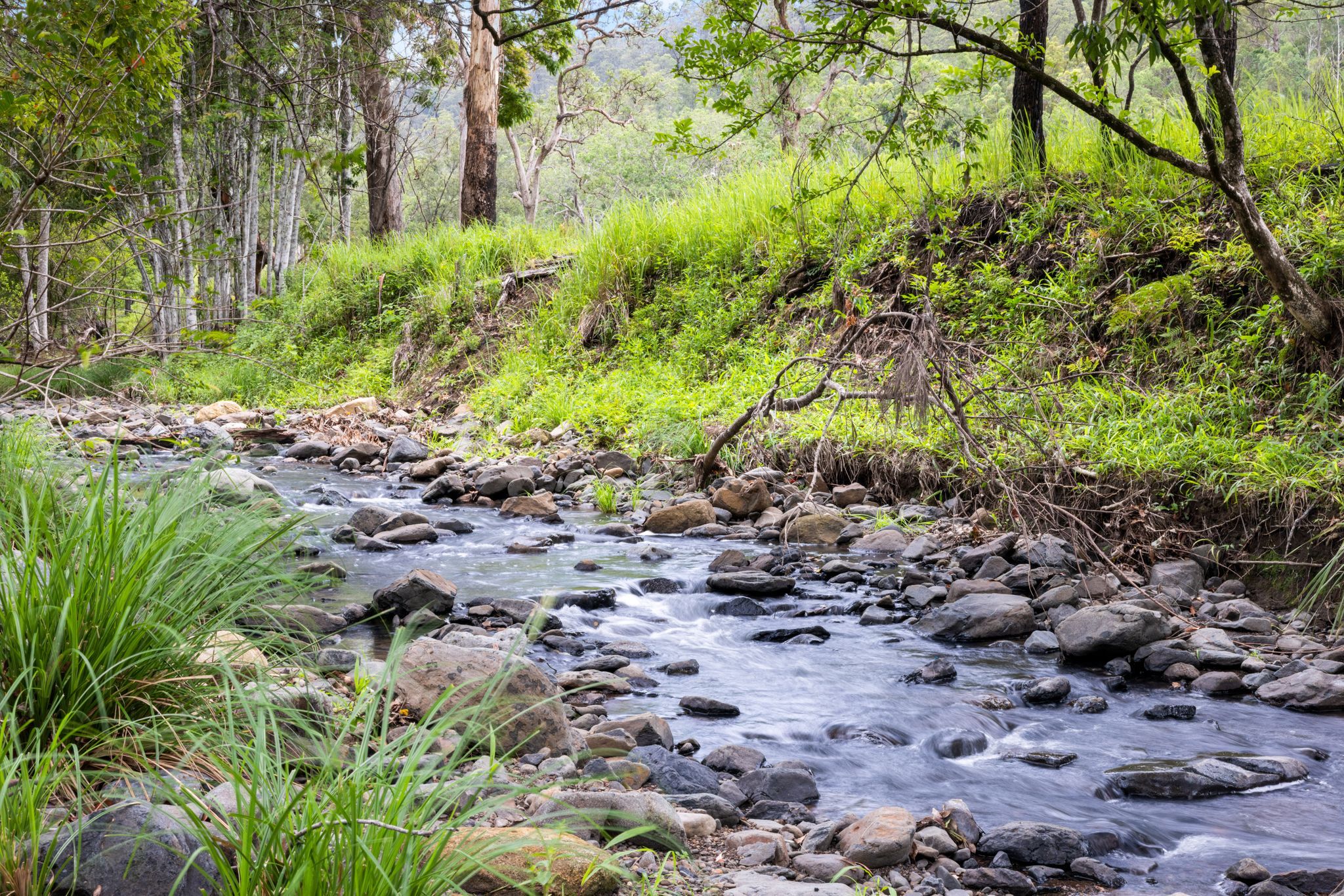 737 Smiths Creek Road, Smiths Creek, Kyogle, NSW 2474