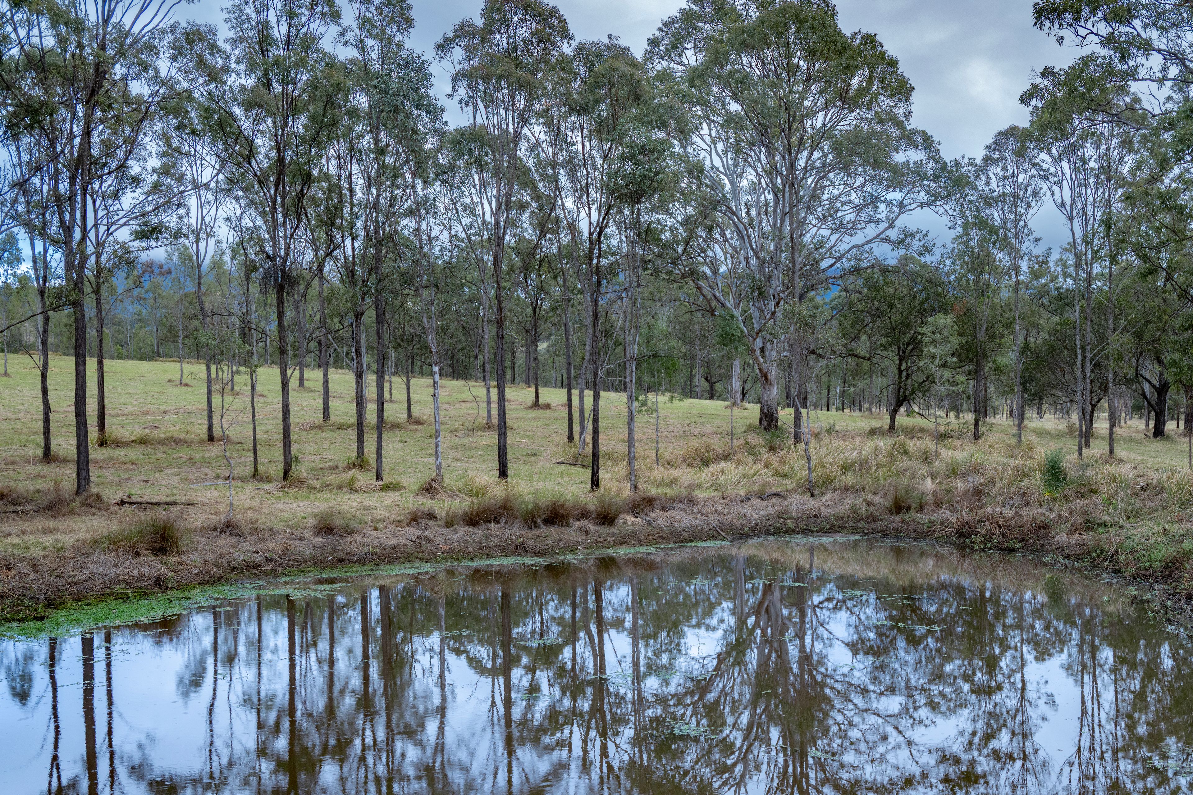 0 Cunningham Highway — photo 4 of 22