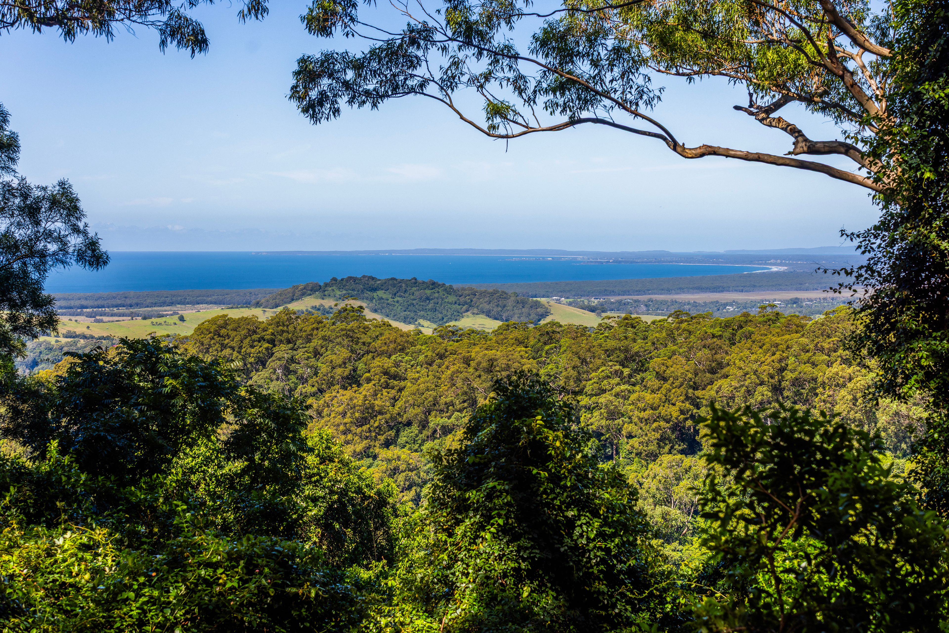 'The Ridge Farm' Lots 22 & 102 Free Selectors Road — photo from Ray White Gerringong