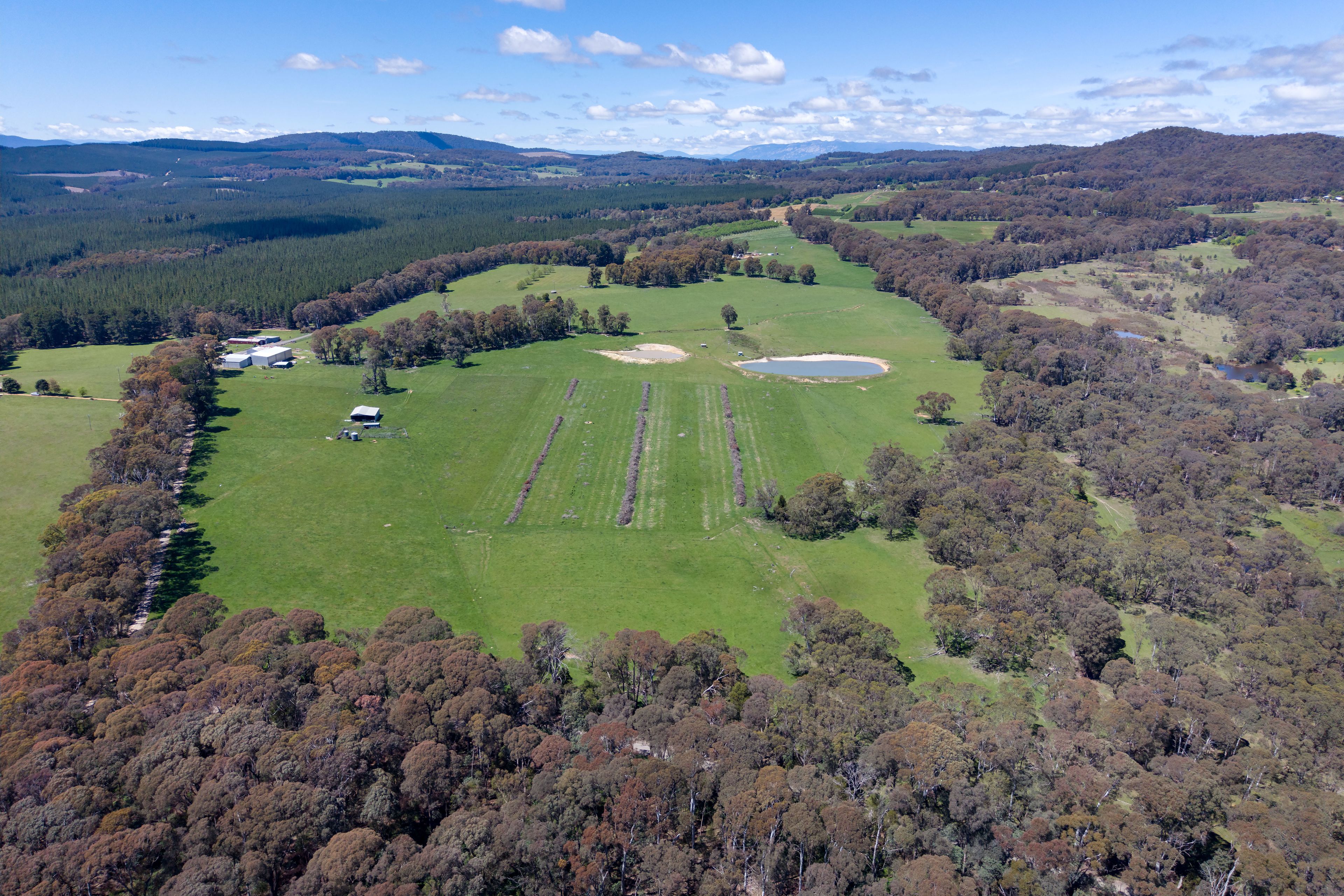 218 Hurdle Flat Road, Beechworth, VIC 3747