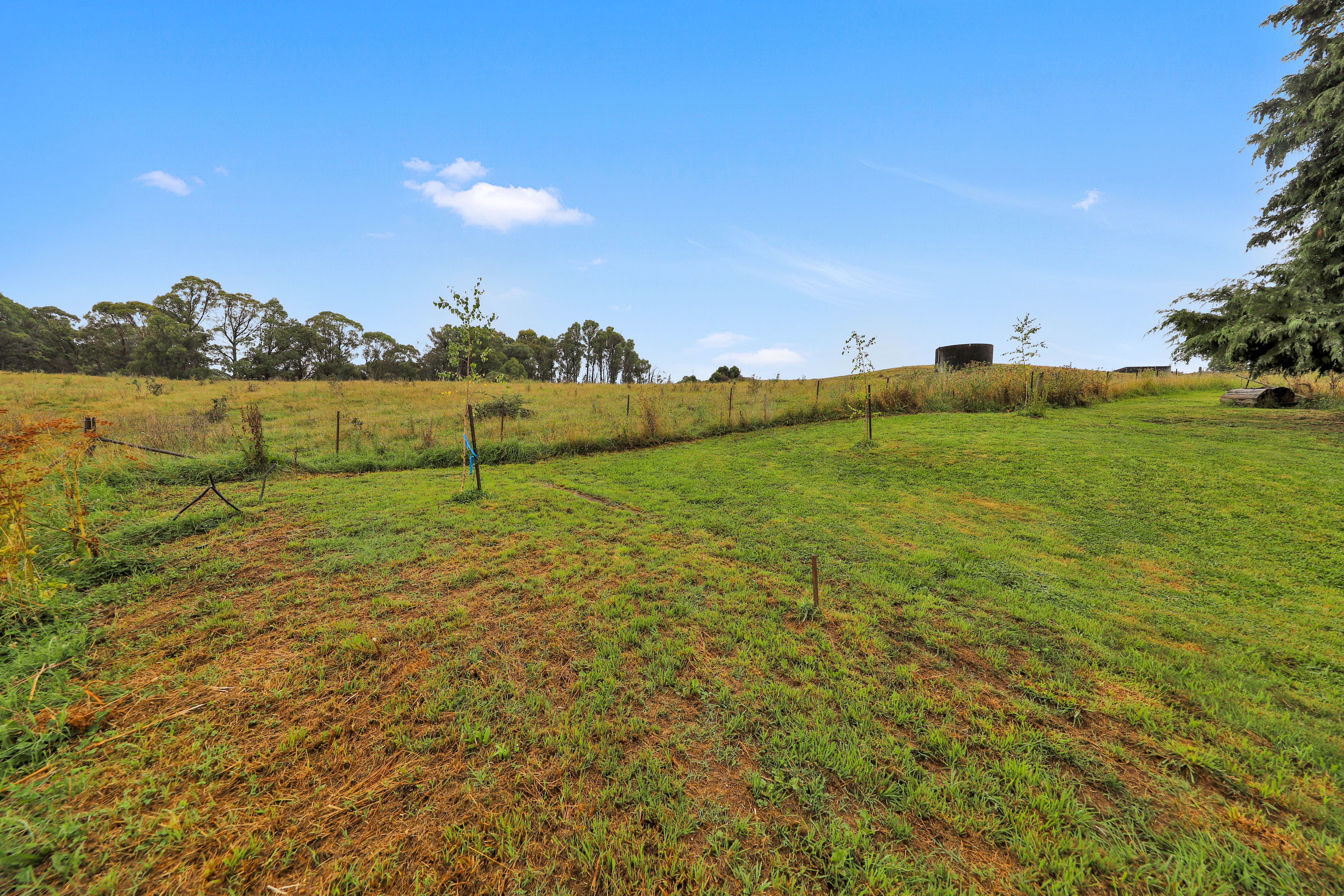 Lot 1, 72 Peels Creek Road, Batlow, NSW 2730 House for Sale Ray