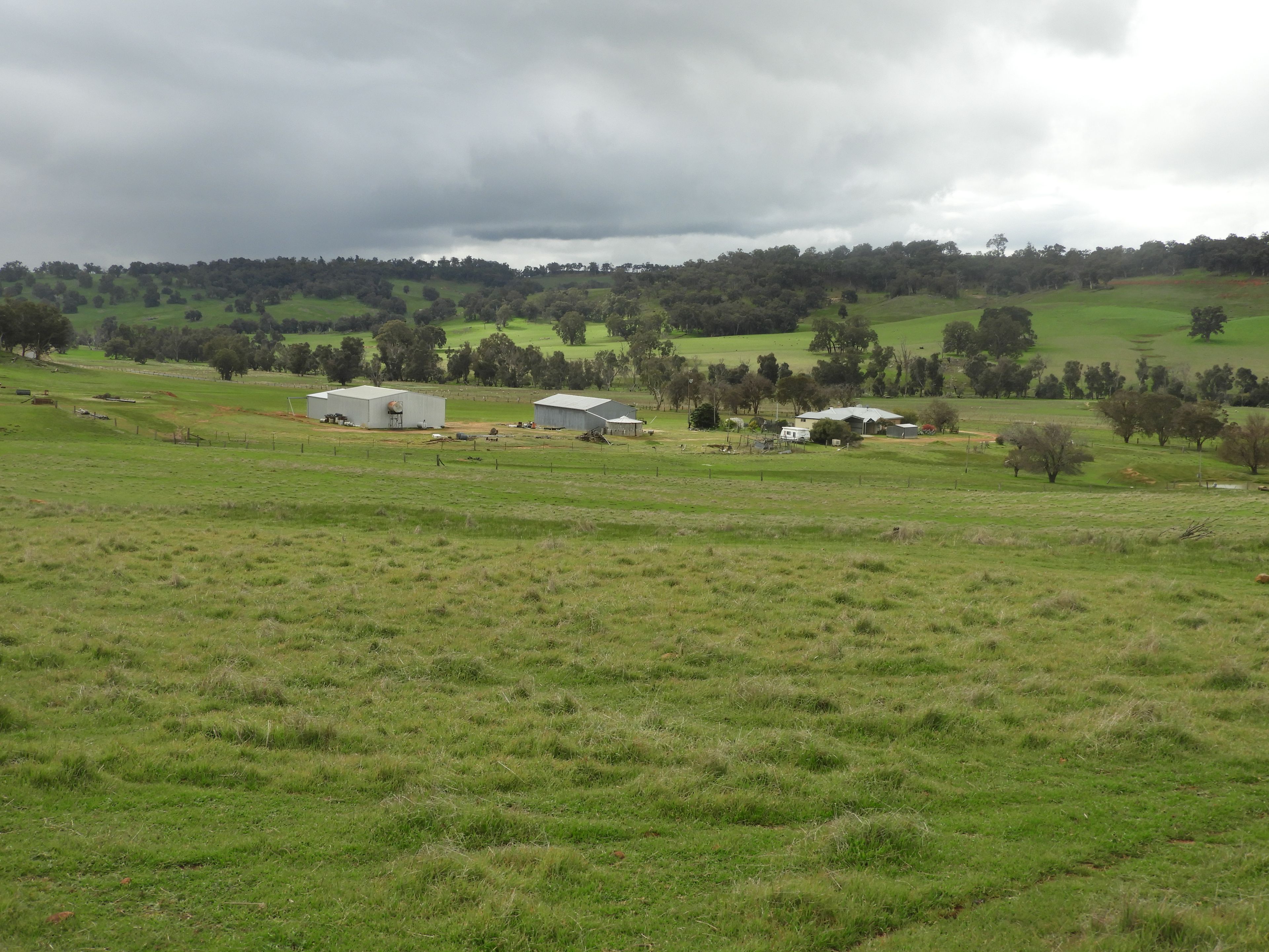 Kyellen Farm, Quindanning-Darkan Road — photo 9 of 30
