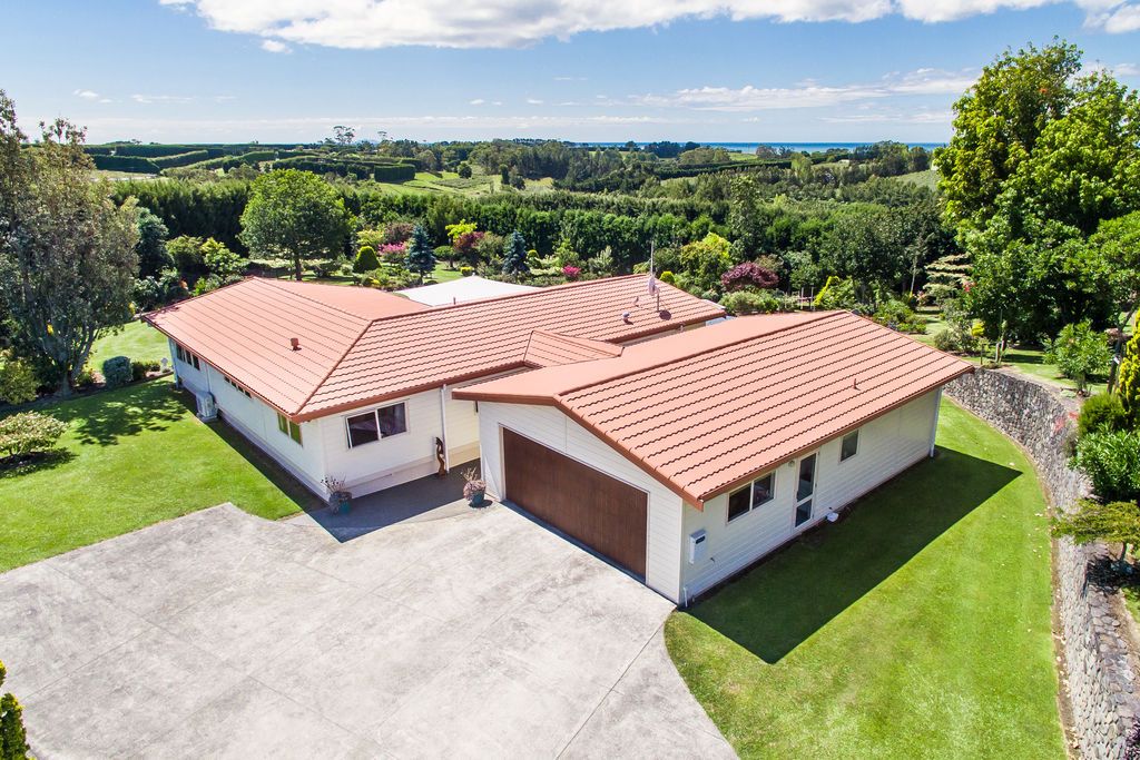 313 Tablelands Road, Opotiki, Opotiki District
