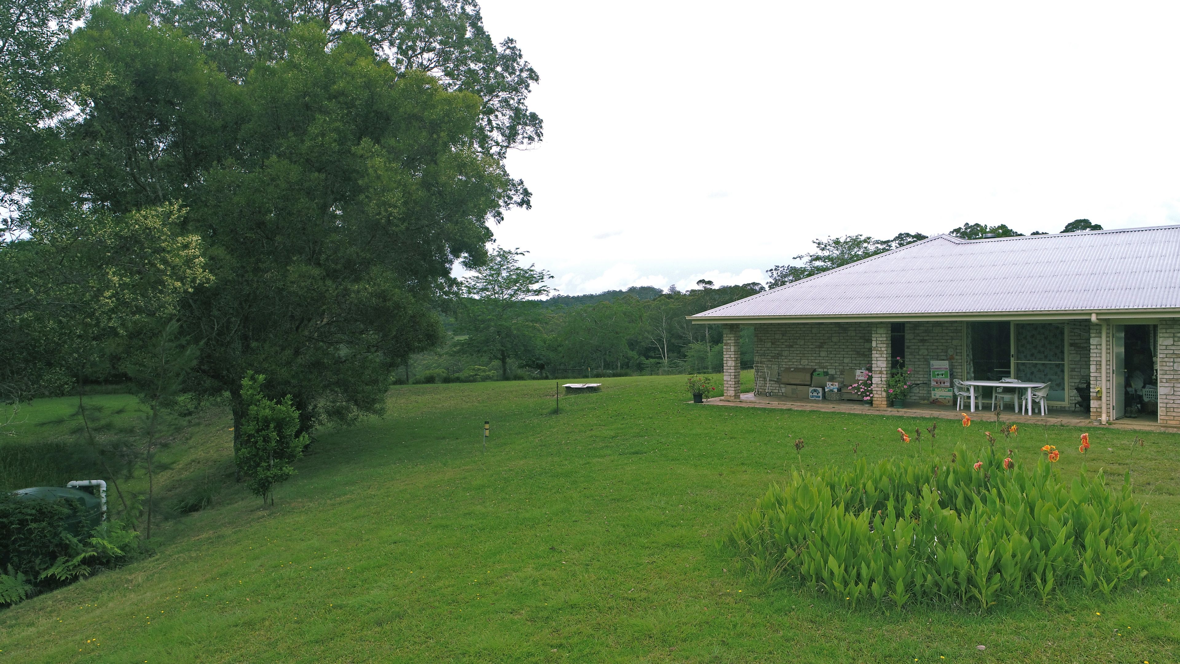 Dorrigo, NSW Rural Rural Livestock Property Sold