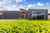 204 Acacia Bay Road photo 5
