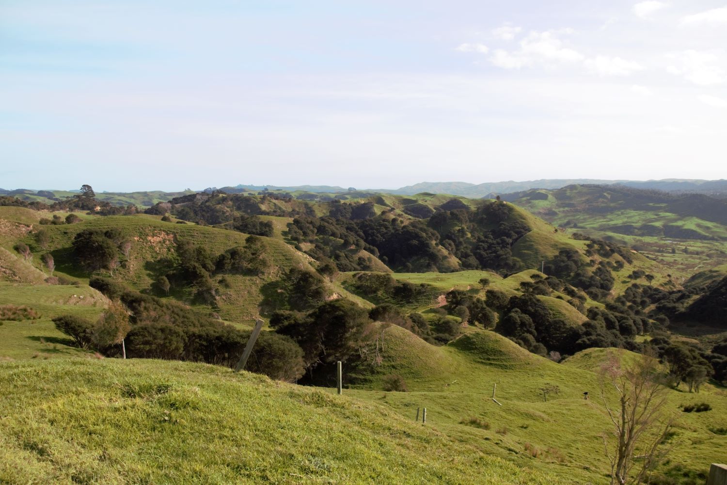 2424 Wairamarama Onewhero Road, Onewhero, Franklin