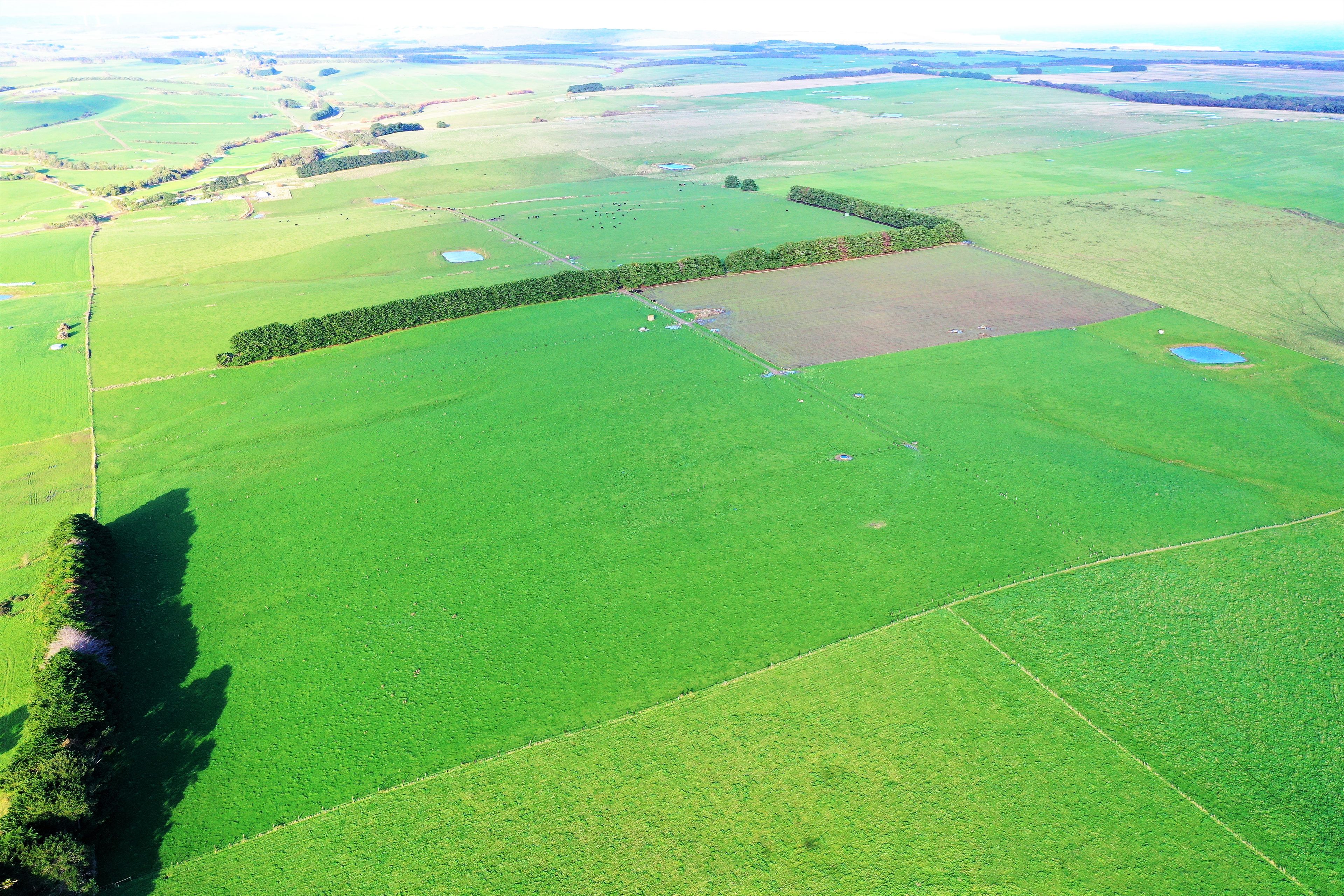 180 Eastern Creek Road, Port Campbell, VIC 3269