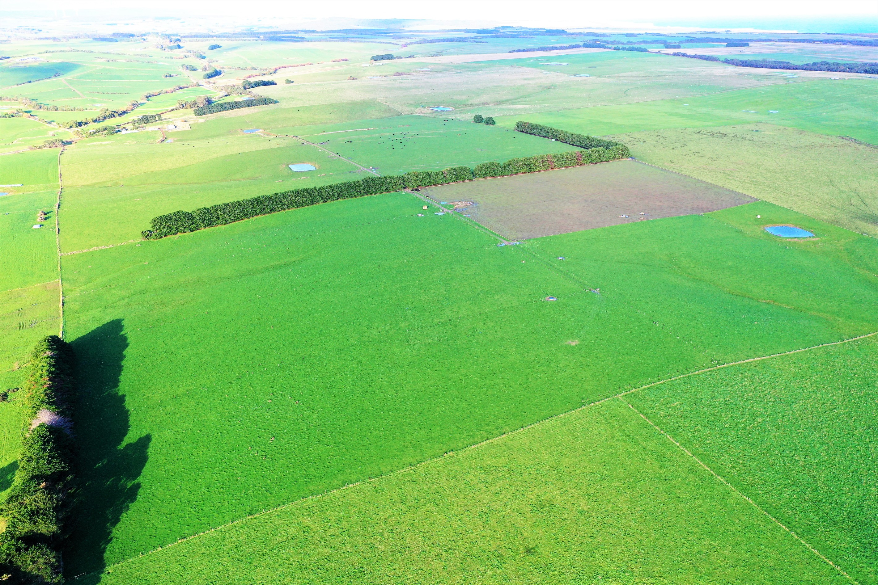 180 Eastern Creek Road, Port Campbell, VIC 3269