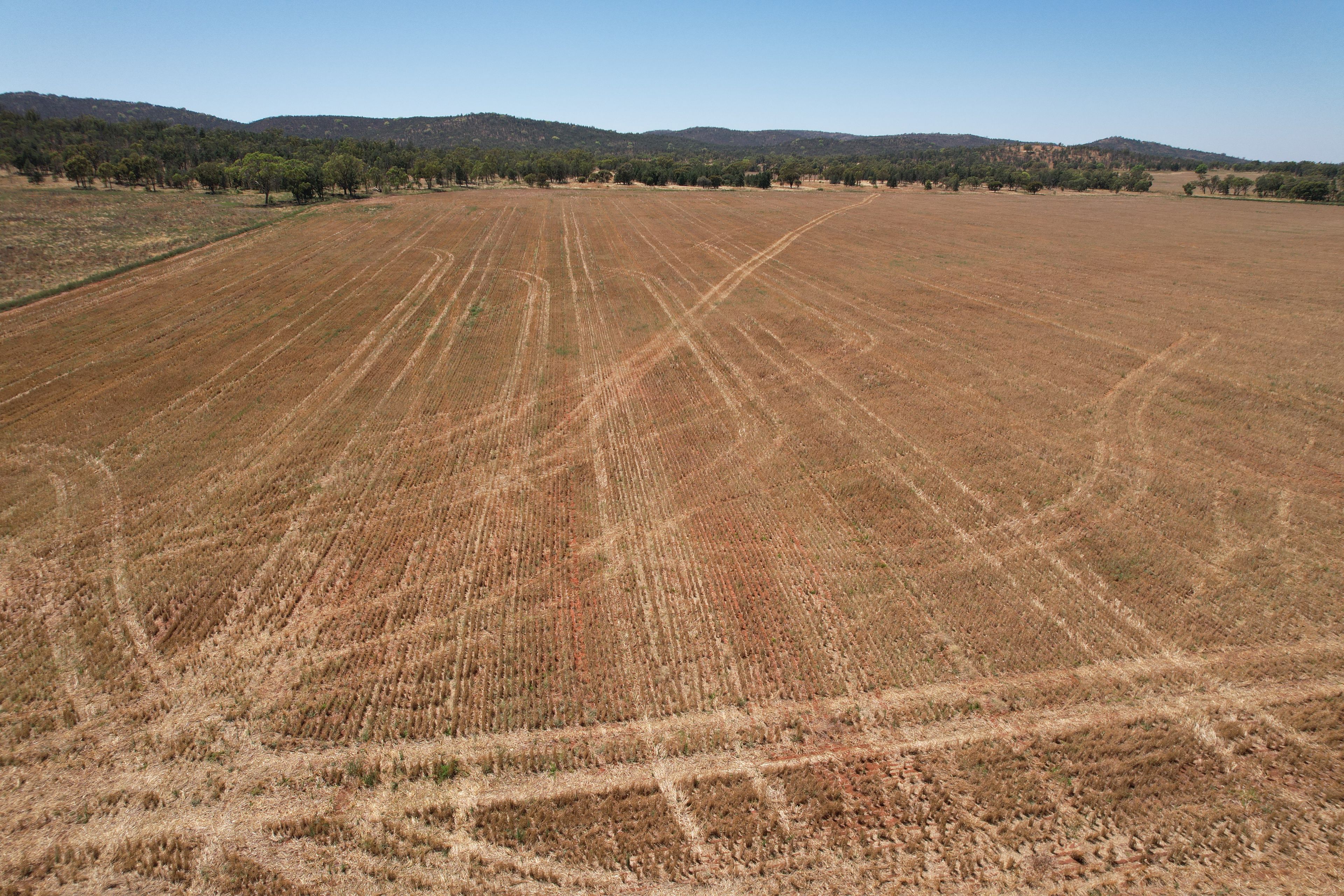 359 Bootoowa Road, Lake Cargelligo, NSW 2672