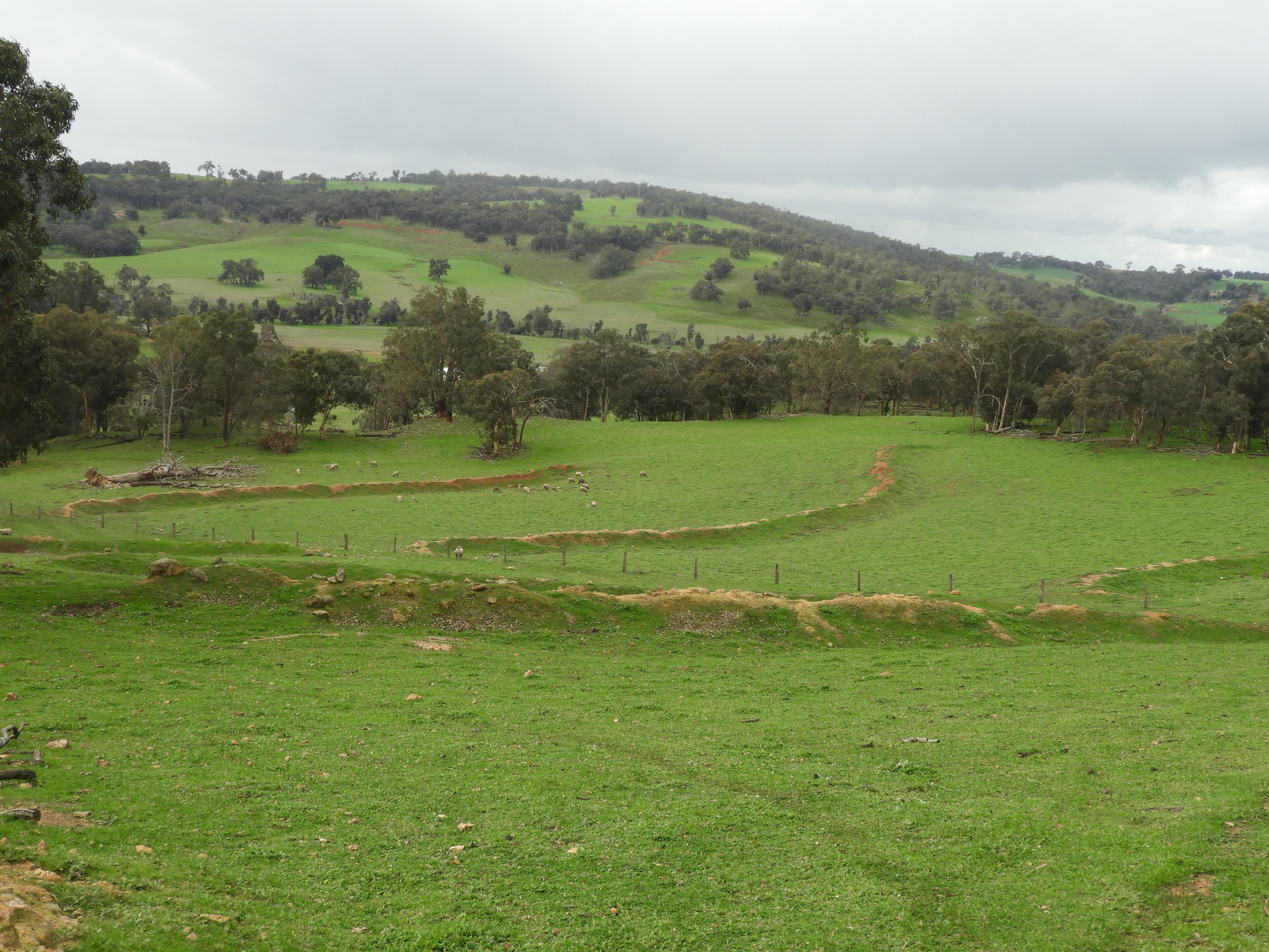 Kyellen Farm, Quindanning-Darkan Road — photo 5 of 30