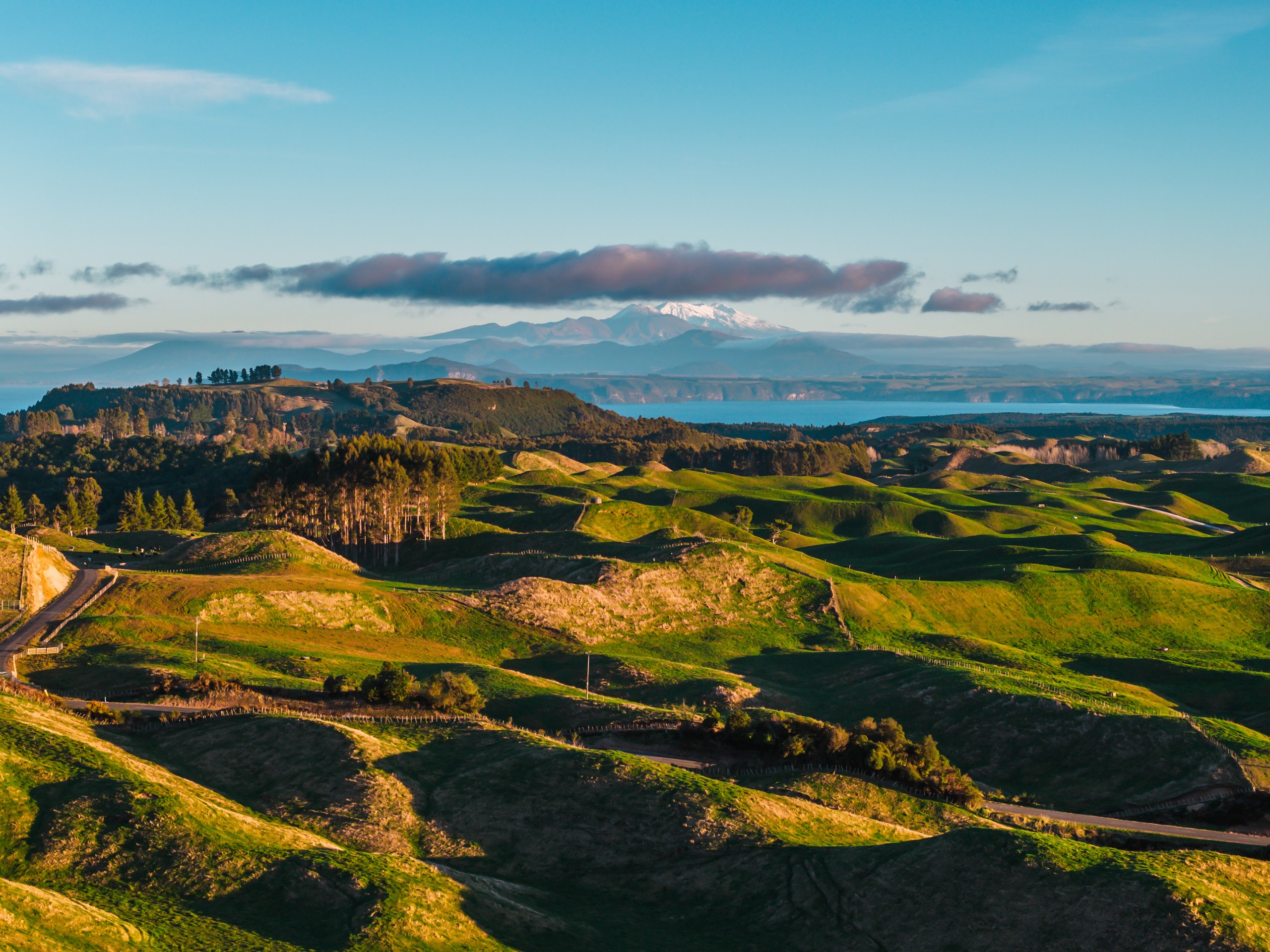 473 Otake Road, Taupo, Taupo District