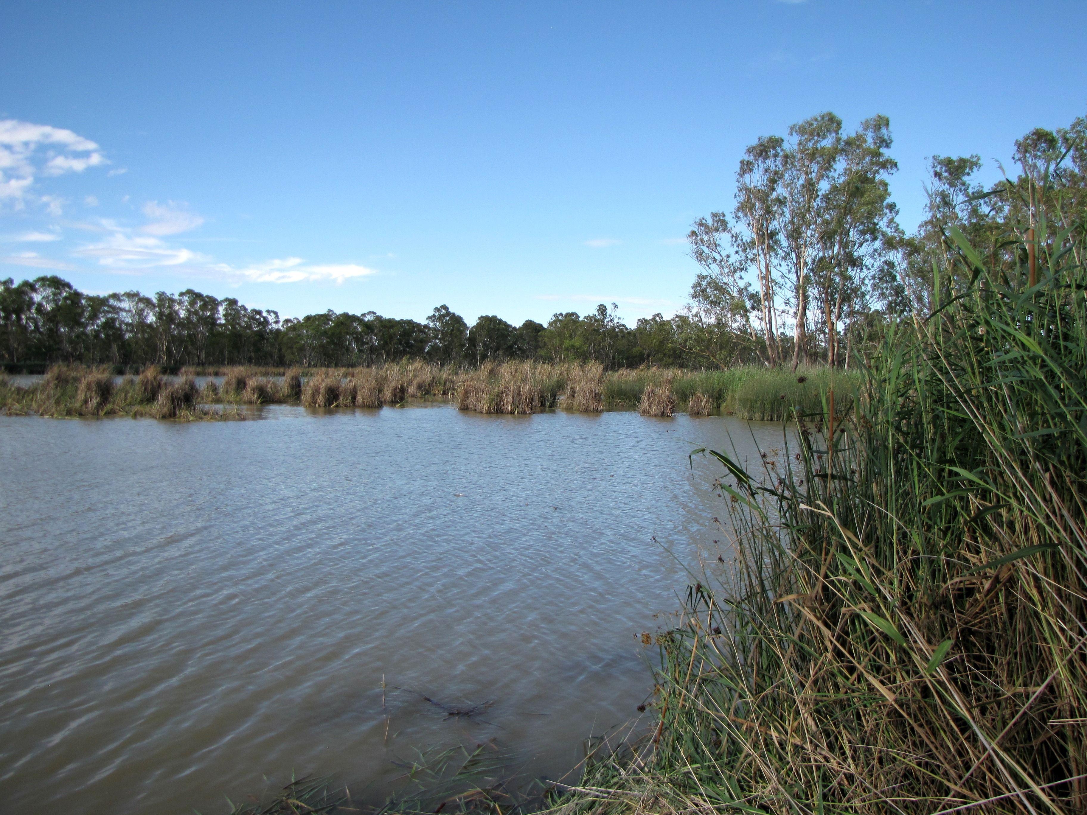 Lot 706 Holmes Road, Kingston On Murray, SA 5331
