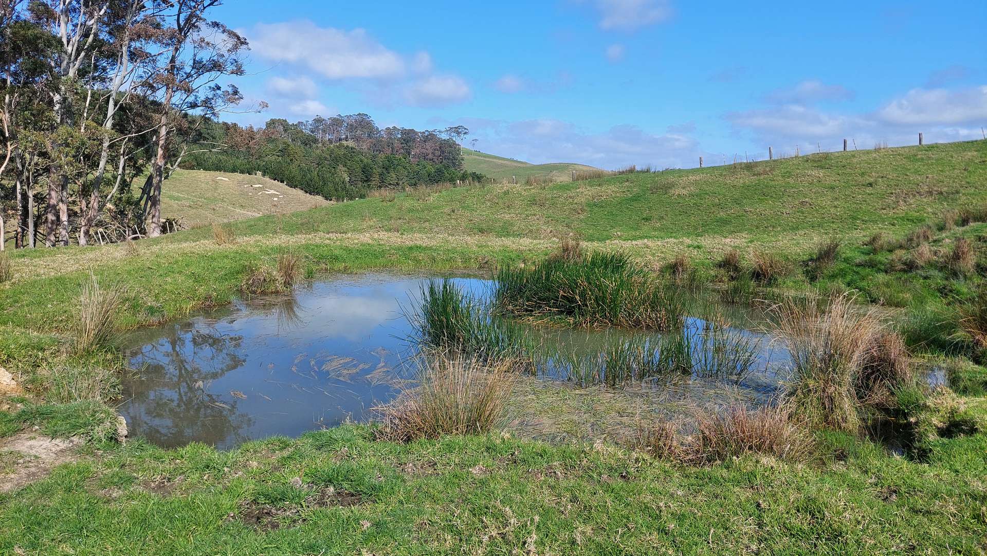 0 Cnr Milne and Aponga Stream Road photo 6