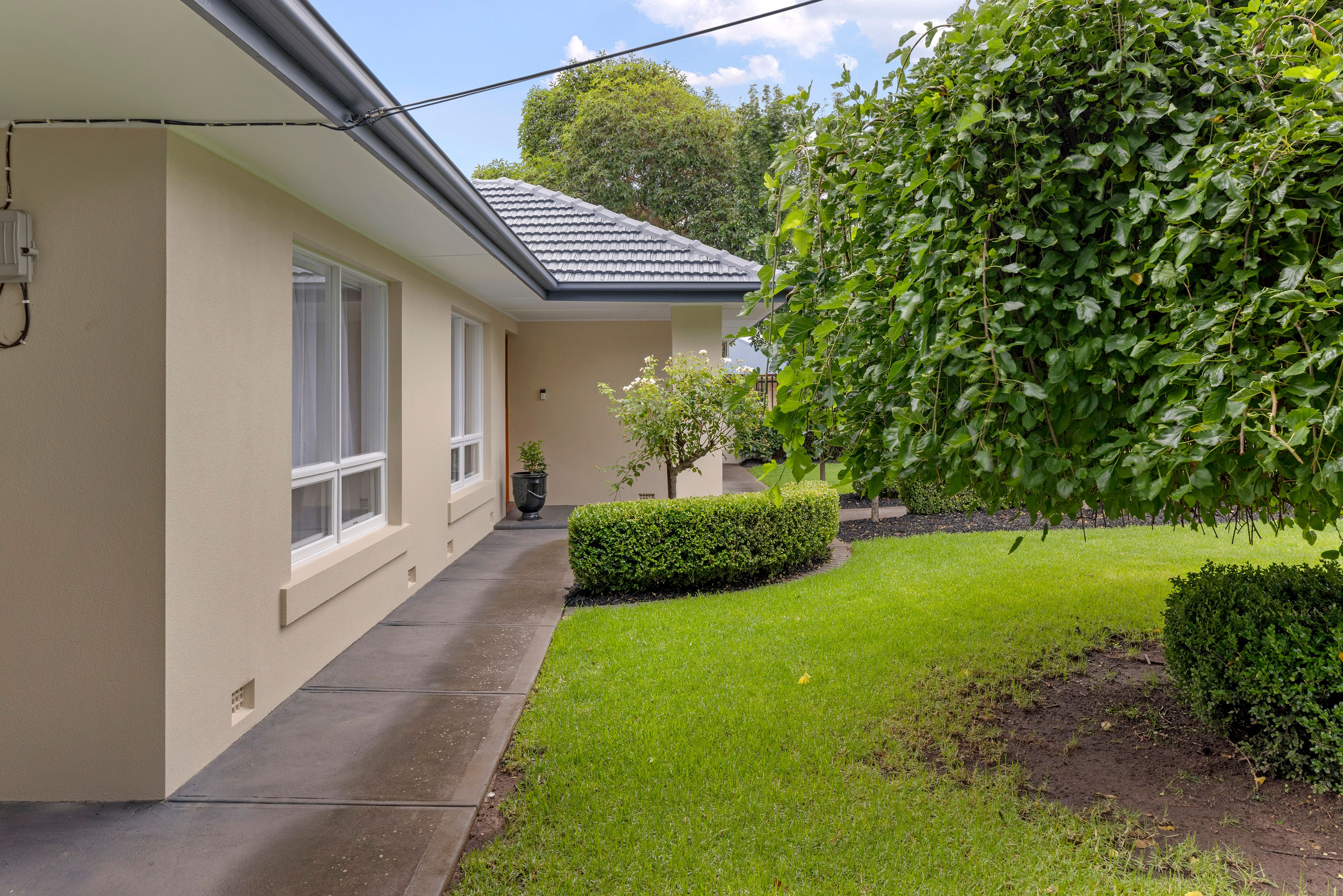 53 Avenue Road, Payneham, SA 5070