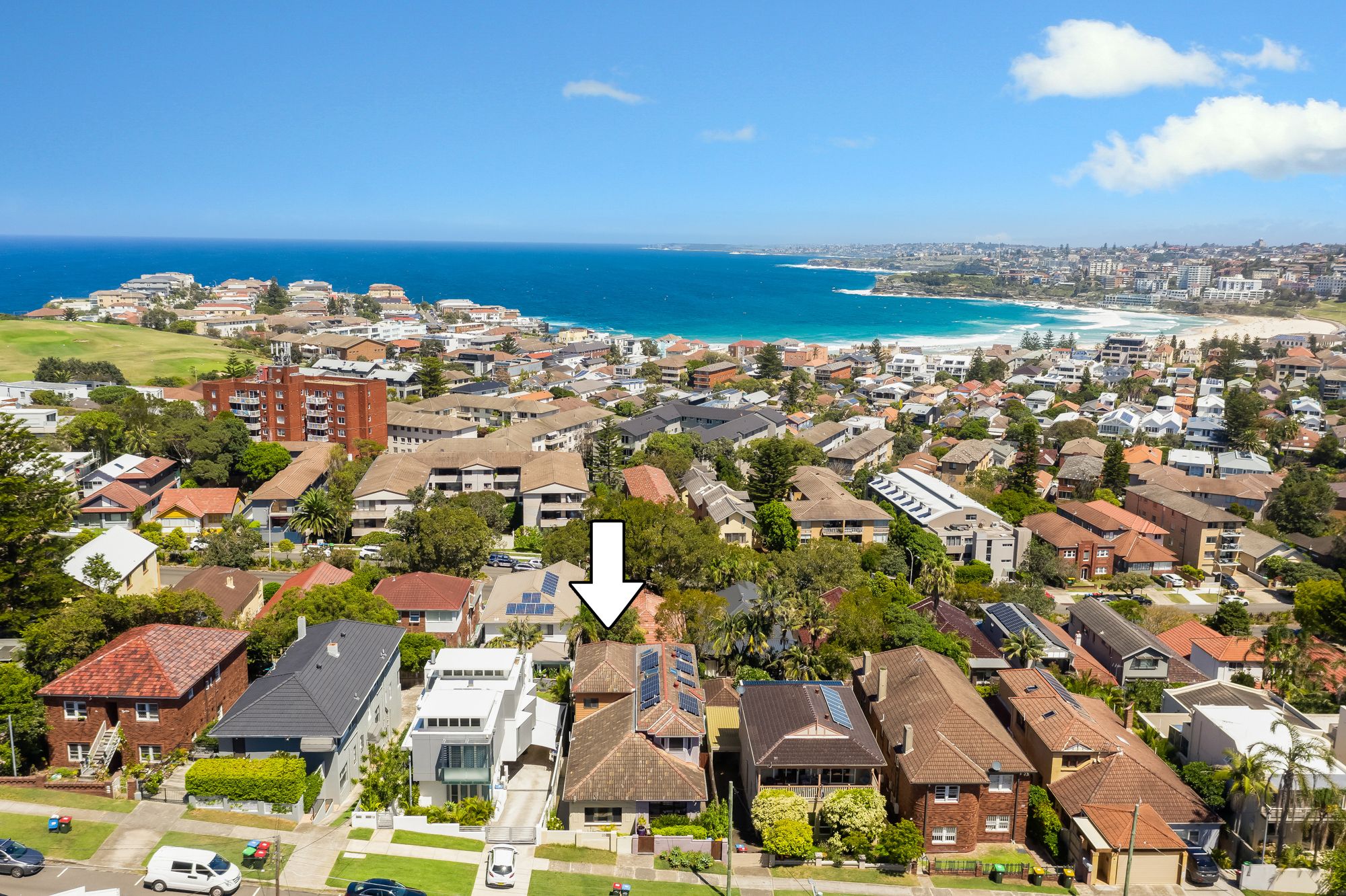 20 O'Donnell Street, North Bondi NSW 2026