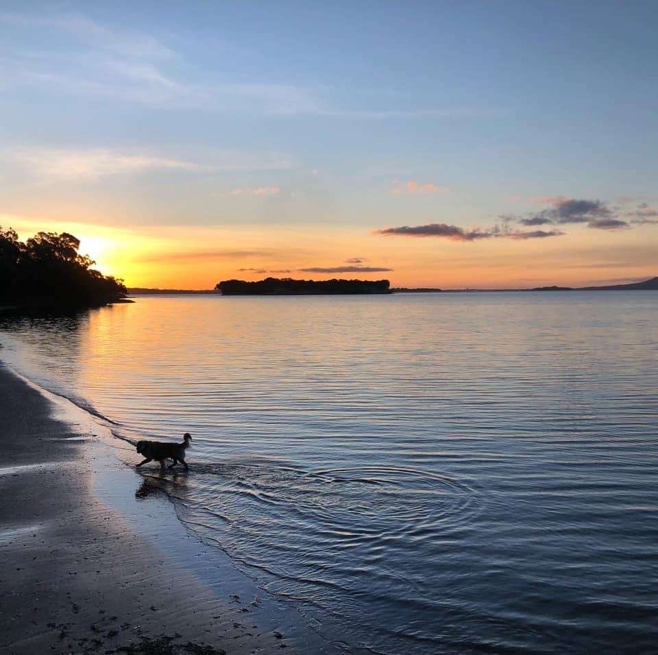 Beachlands  Manukau City  2018 photo 1