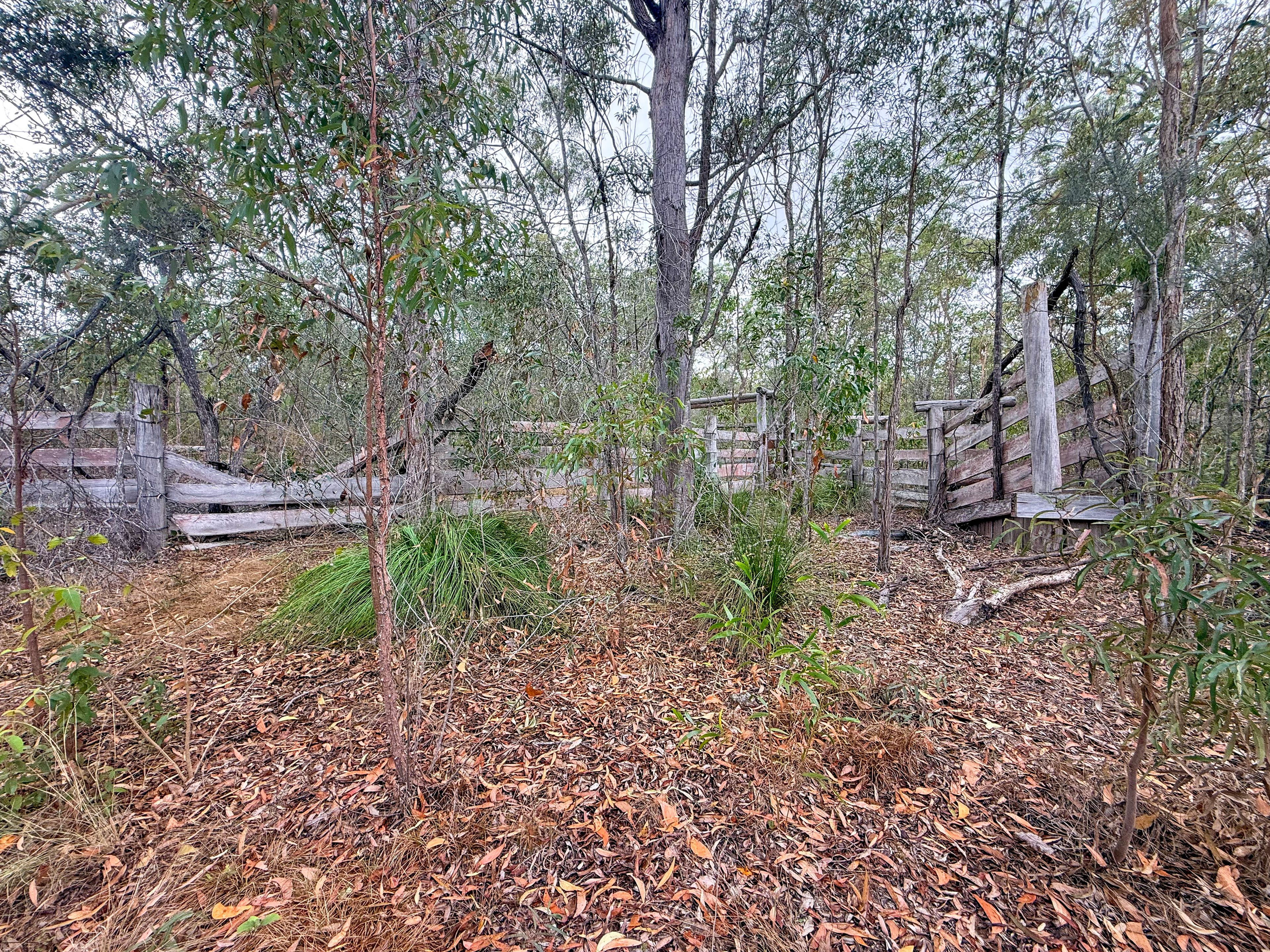 757 Gorge Road — photo 11 of 29