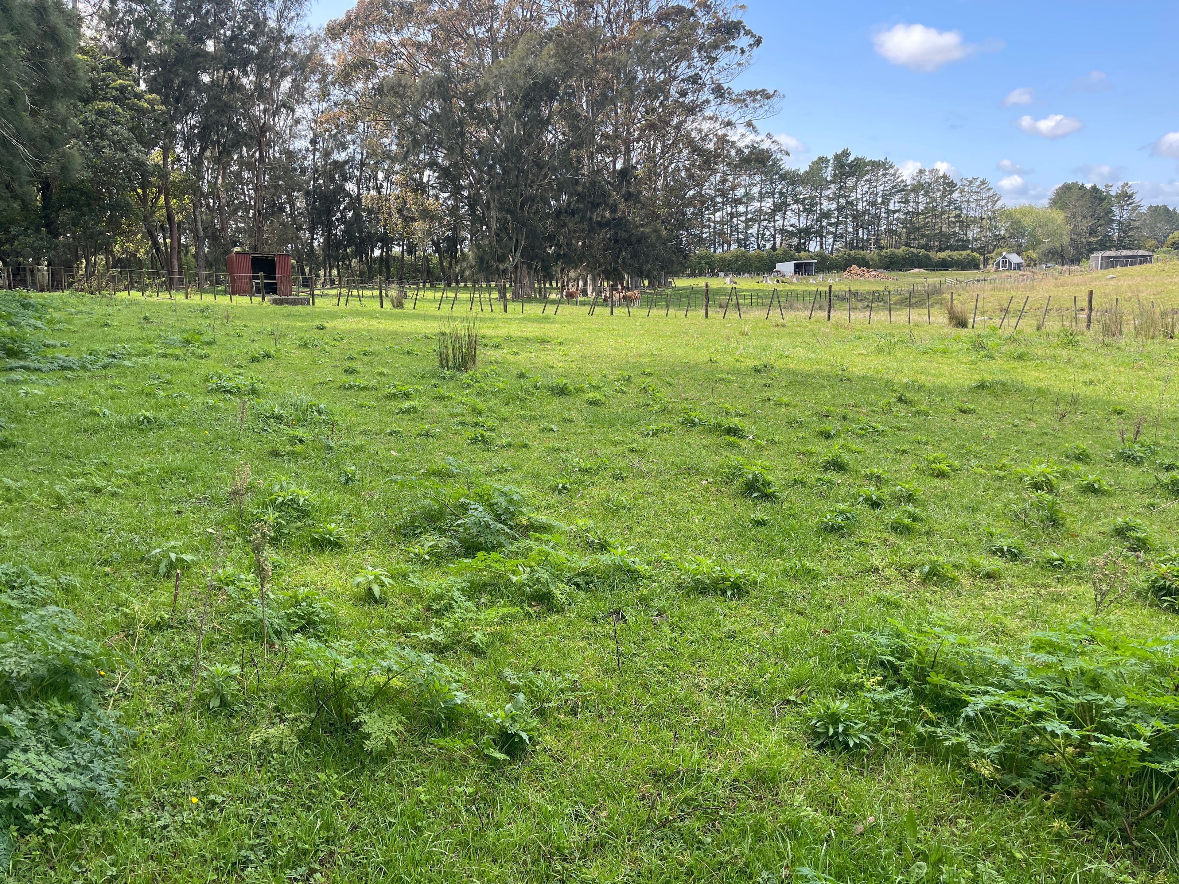 Lot 1/201 Stanners Road, Kerikeri, Far North District