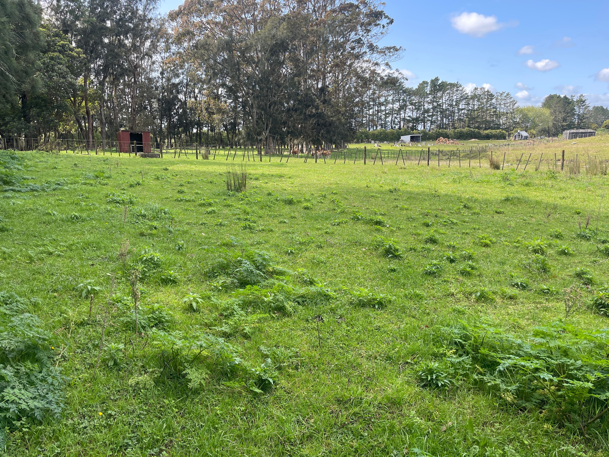 Lot 1/201 Stanners Road, Kerikeri, Far North District