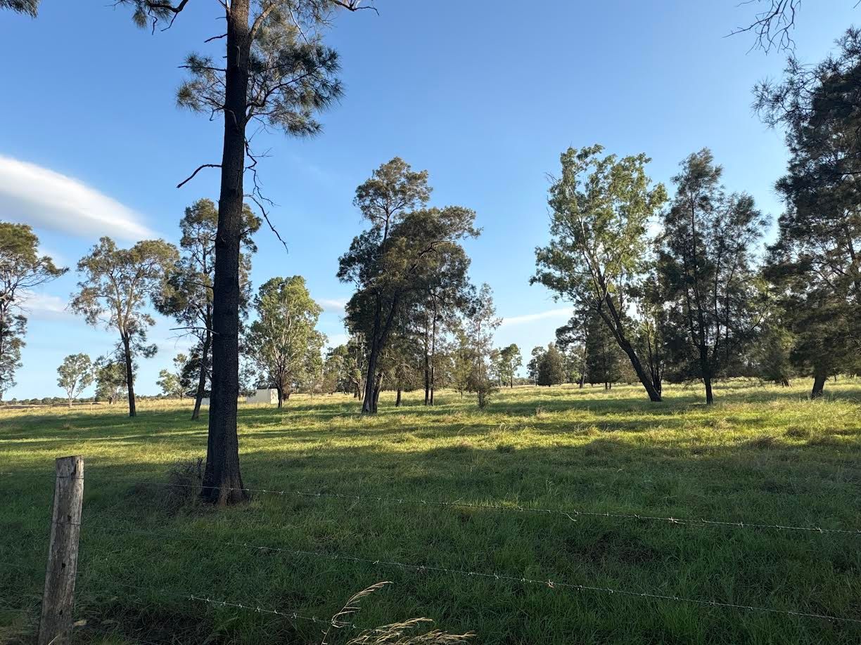 280 Woodford Road, Alton Downs, QLD 4702