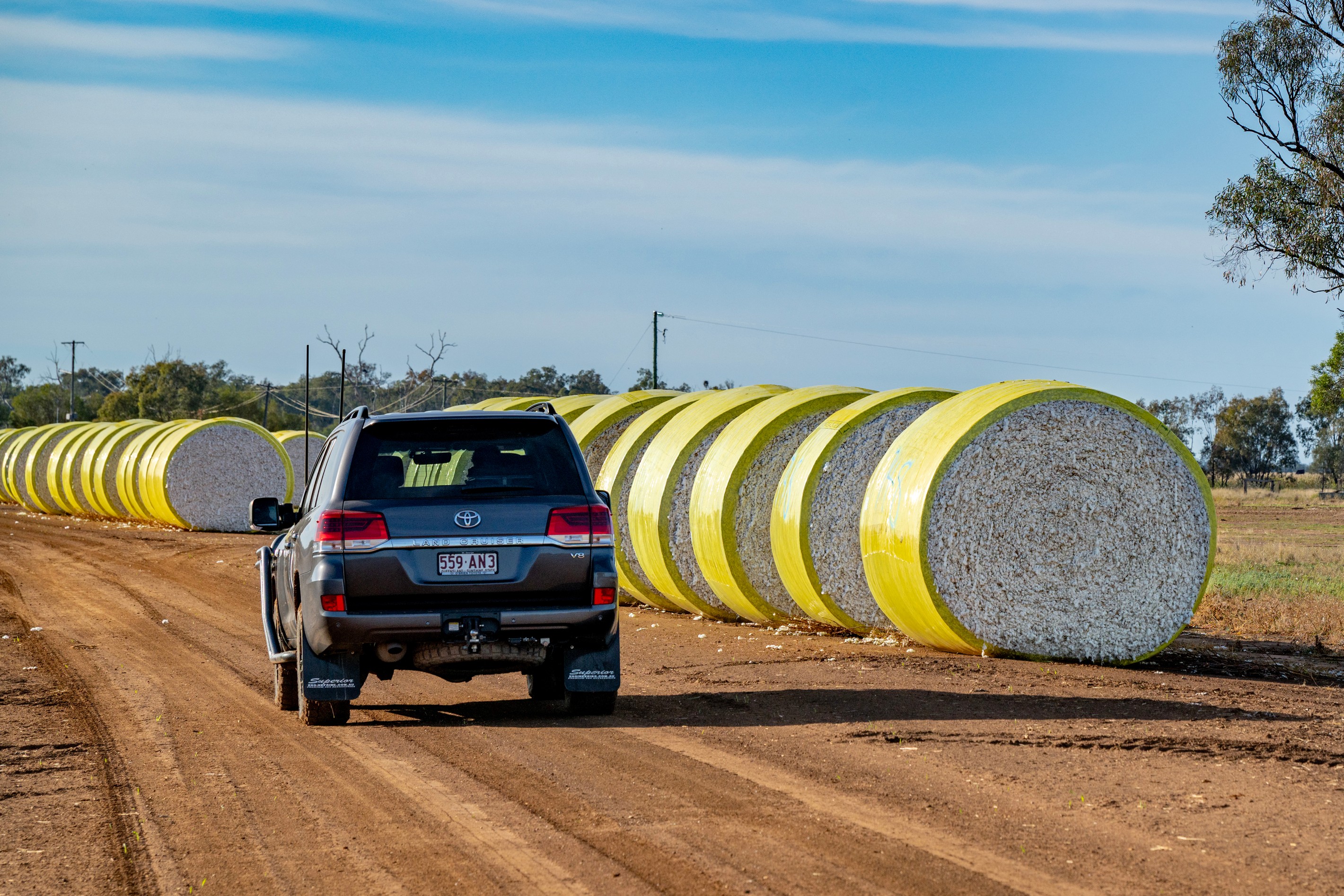 6210 Carnarvon Highway, Thallon, QLD 4497