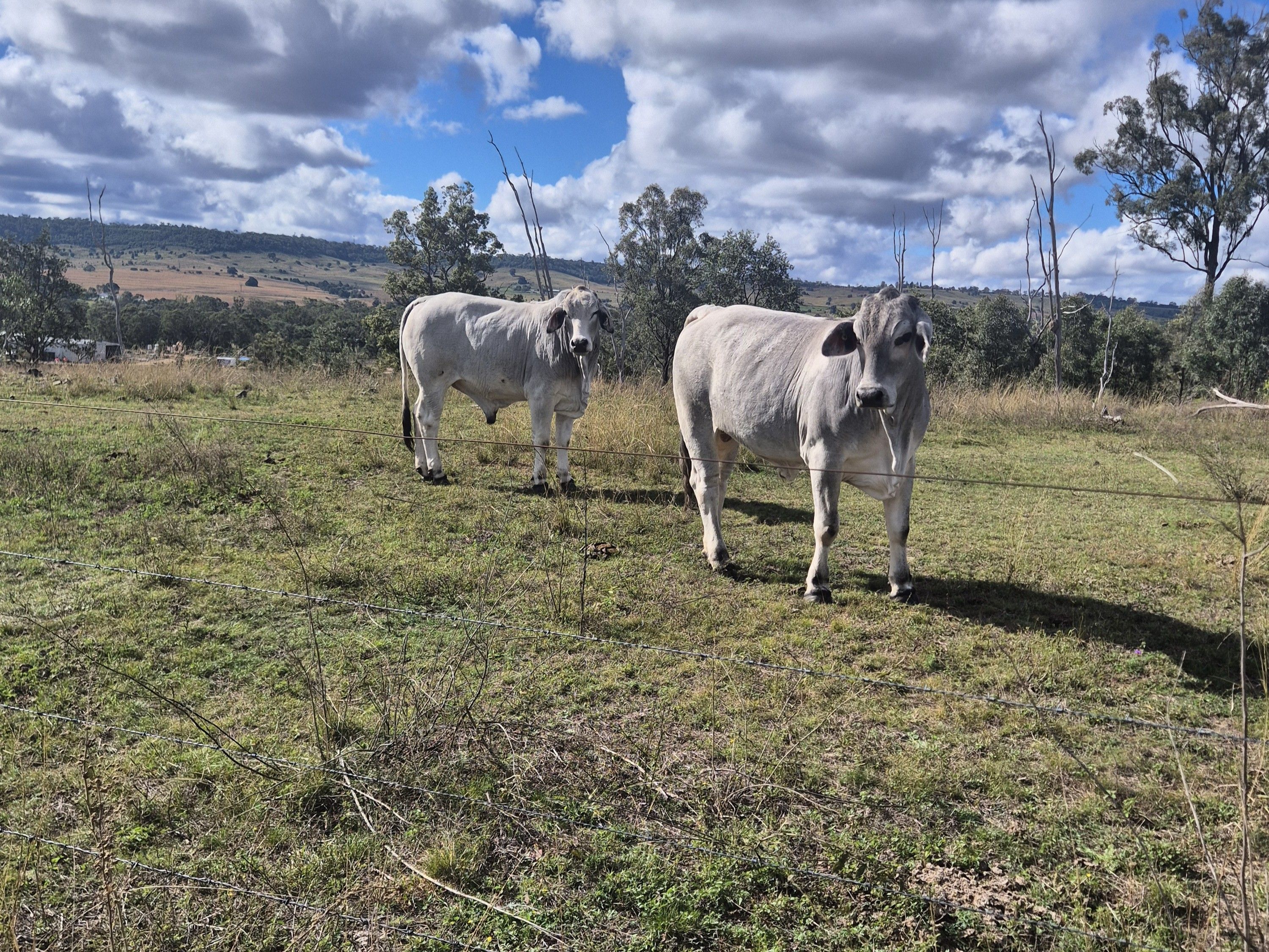 Lot 1 The Weir Road — photo 5 of 16