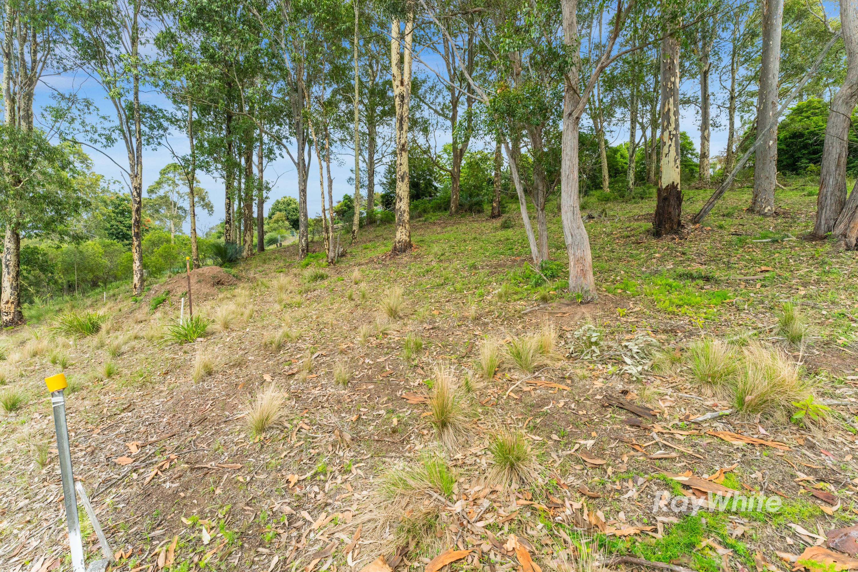 33 Berrima Street — photo 4 of 14
