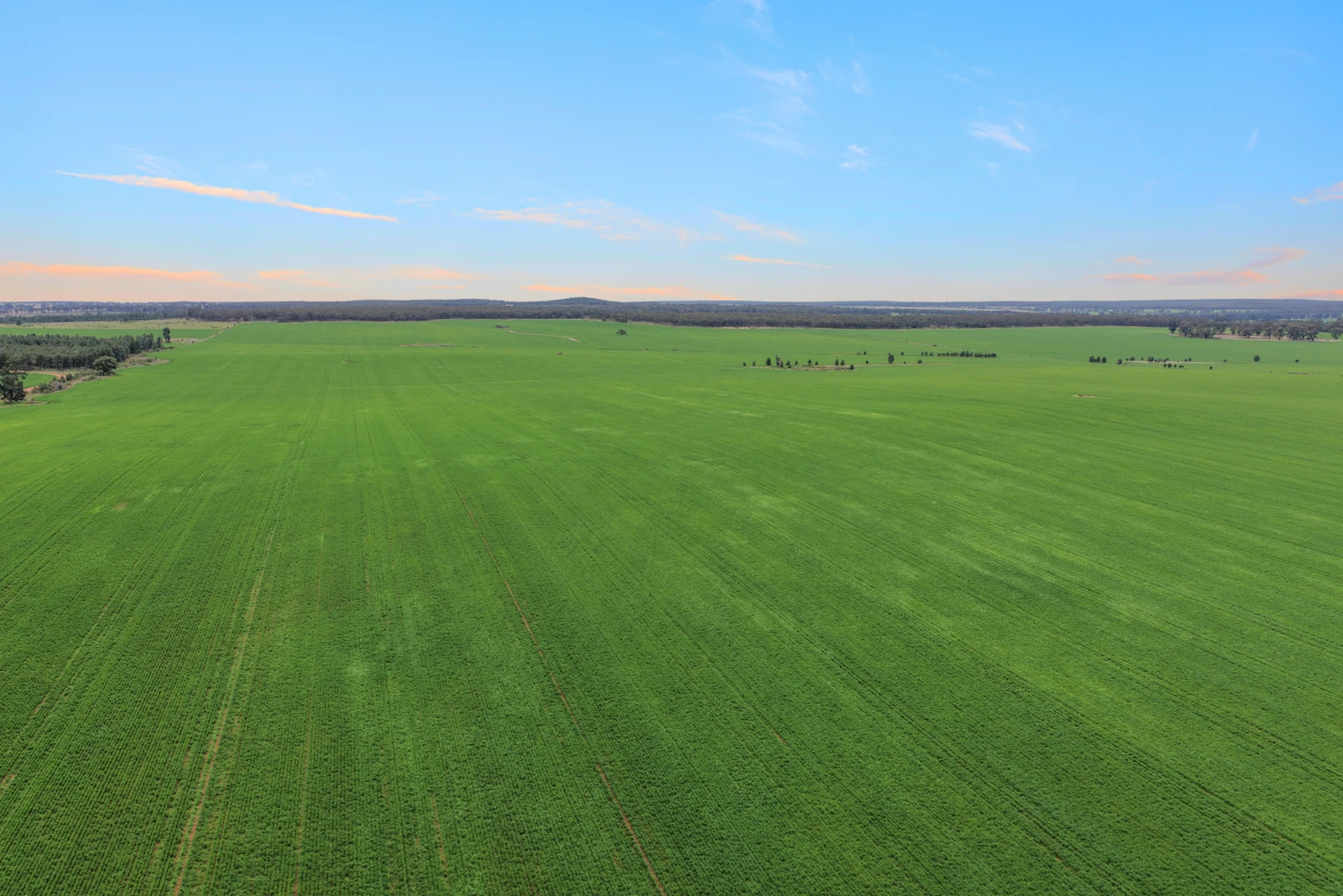 1826 Tallimba Road, West Wyalong, NSW 2671