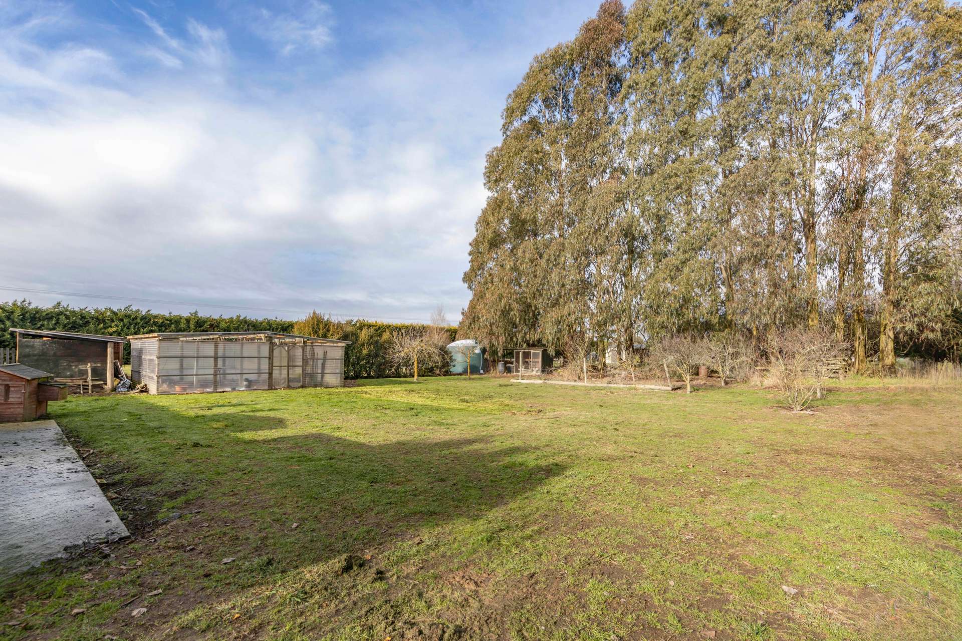 909 Downs Road photo 25