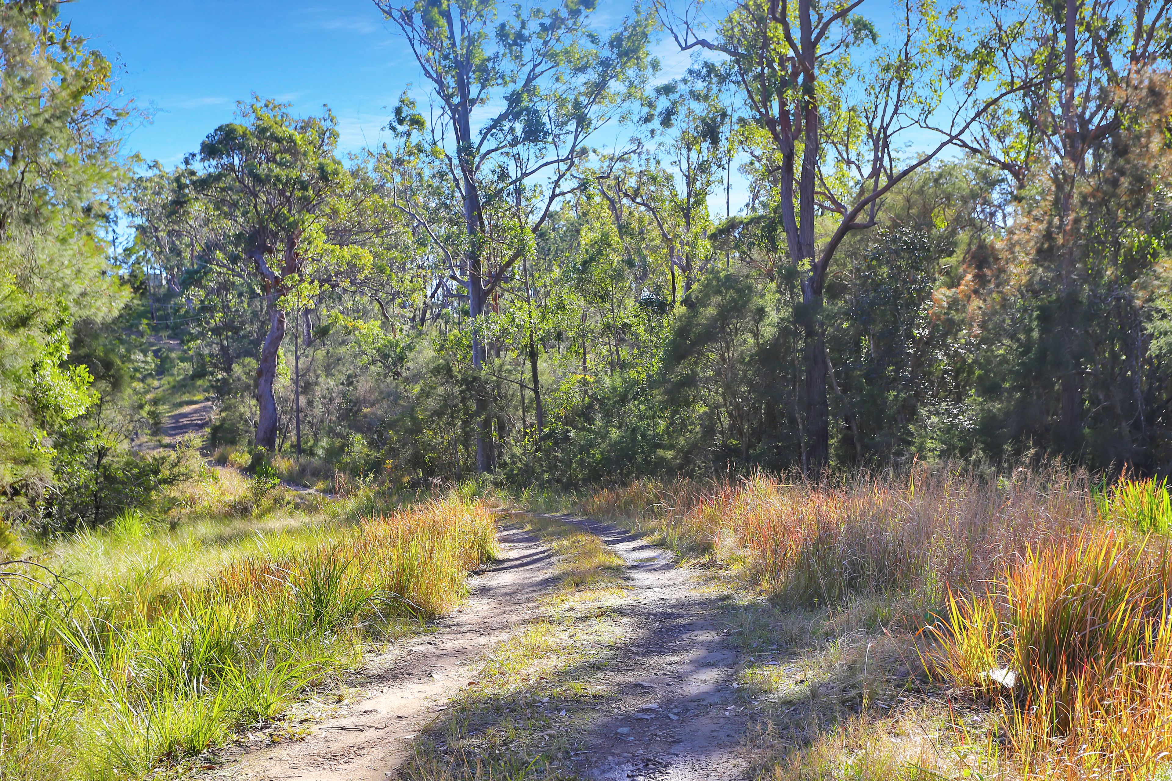 97 Myall River Road, Bulahdelah, NSW 2423