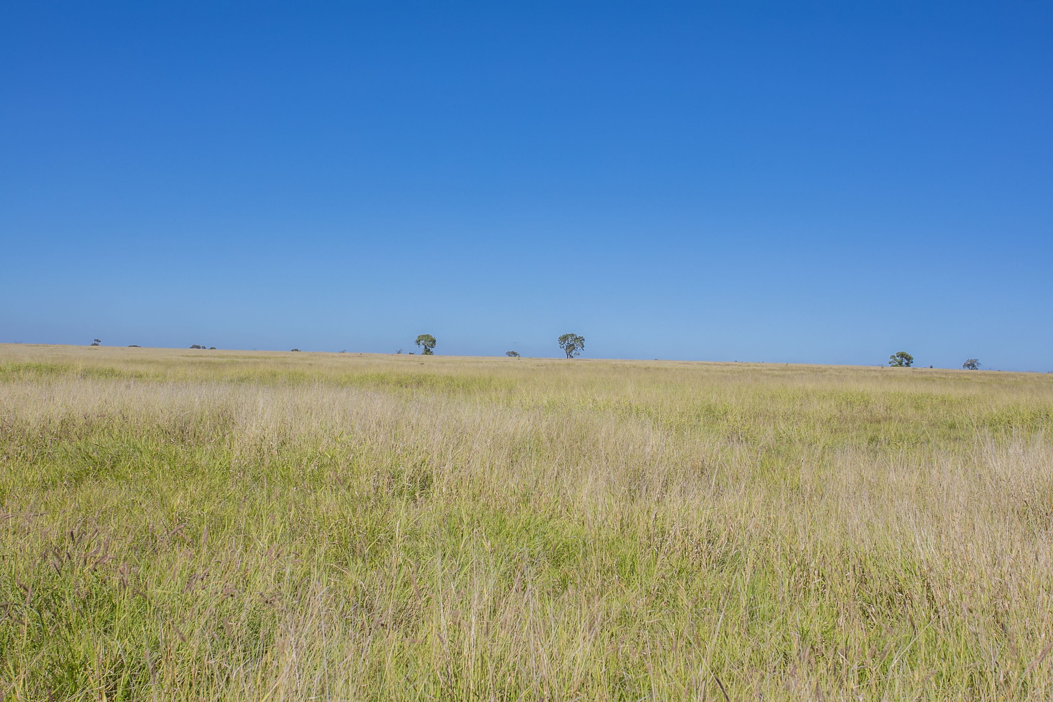 GREENSWAMP, QLD 4413