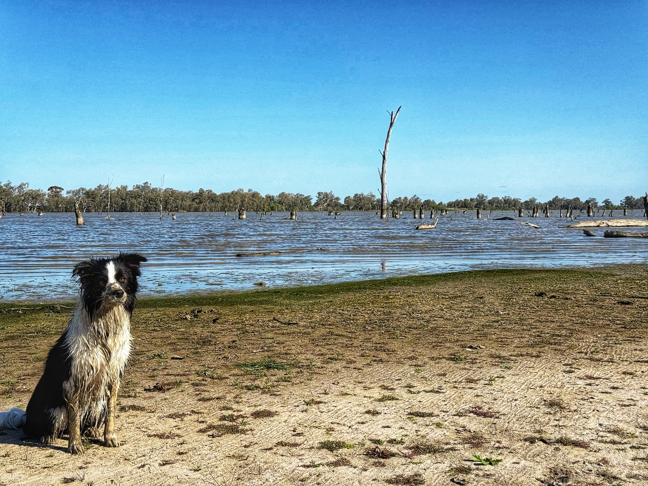 761 Stuart Drive, Curlew Waters, NSW 2672