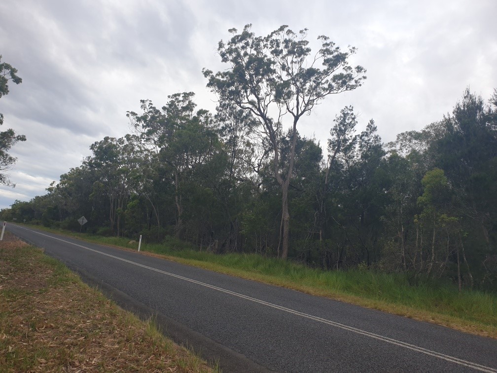 Lot 5 Buxton Road, Buxton, QLD 4660