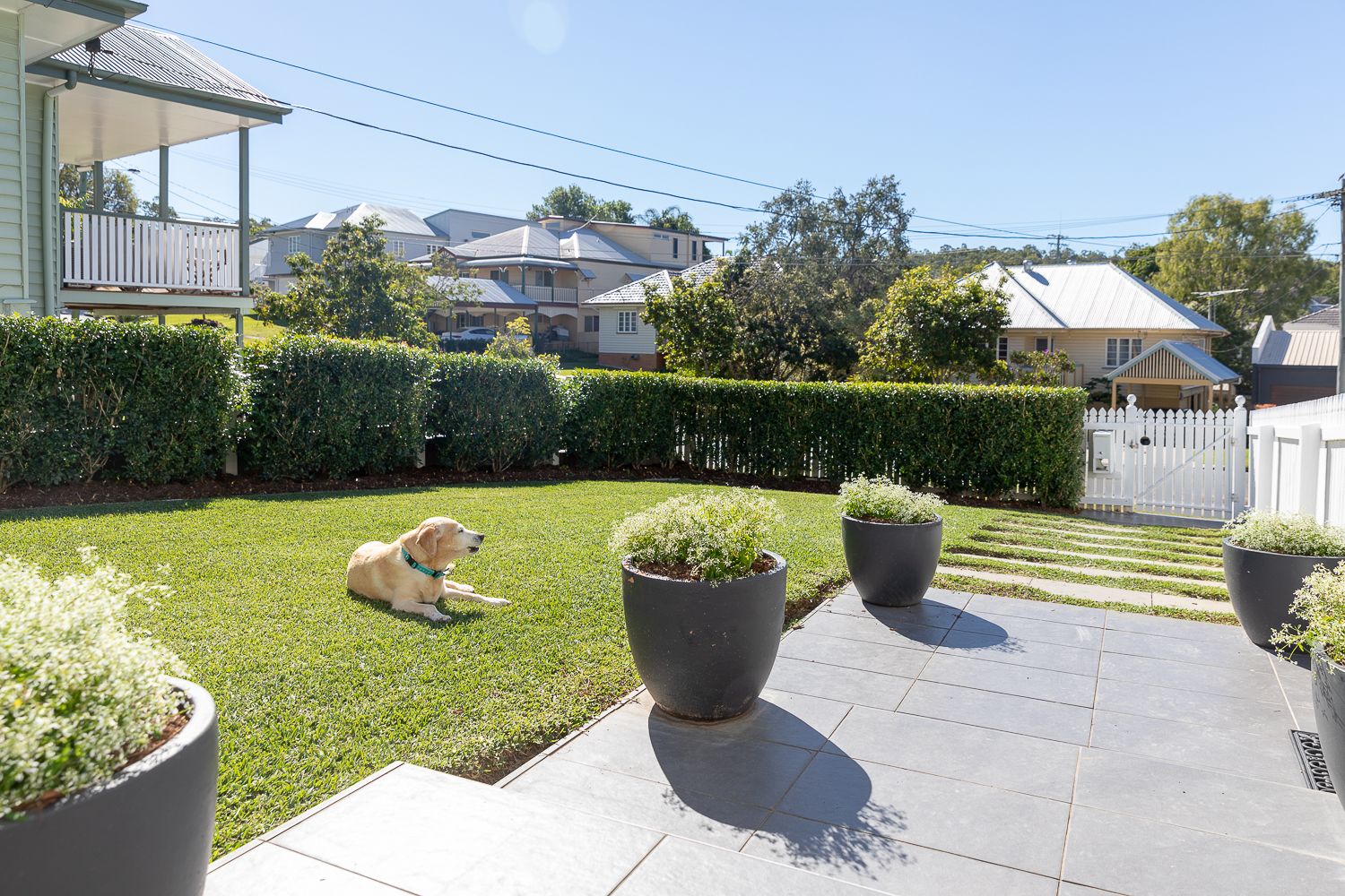139 Sirius Street, Coorparoo, QLD 4151