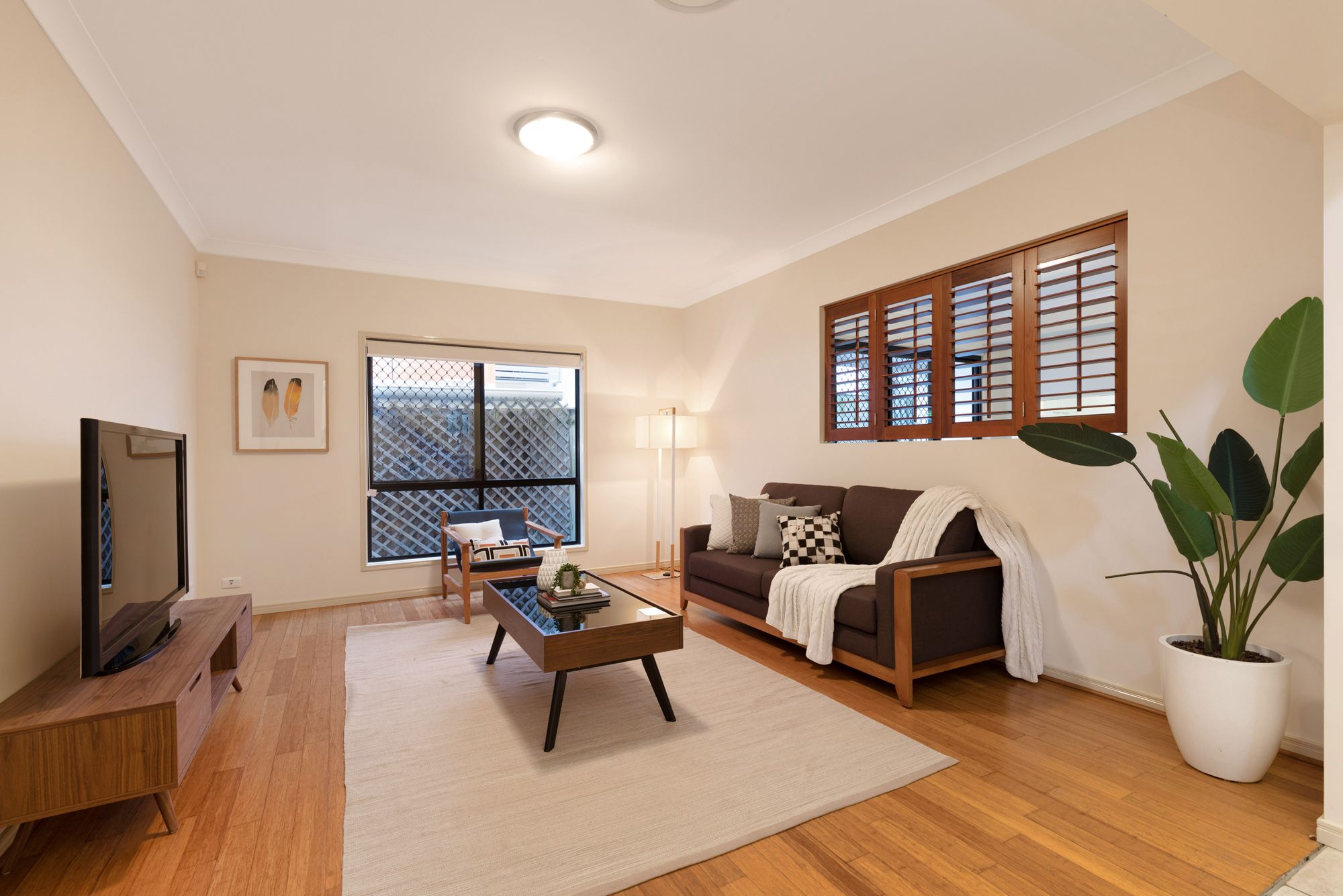 50 Renton Street, Camp Hill, QLD 4152