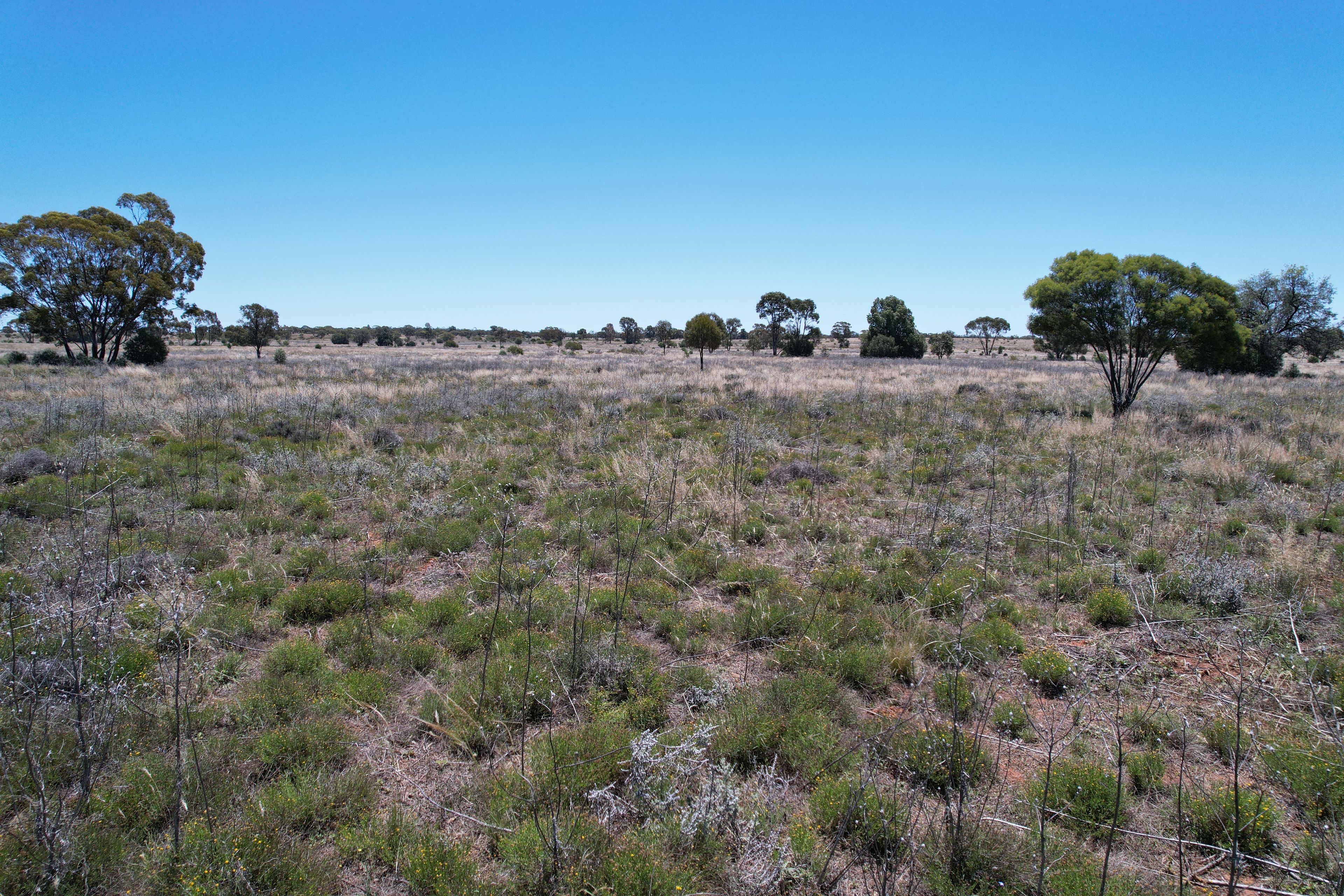 Part Allandoon Peisley Road, Nyngan, NSW 2825