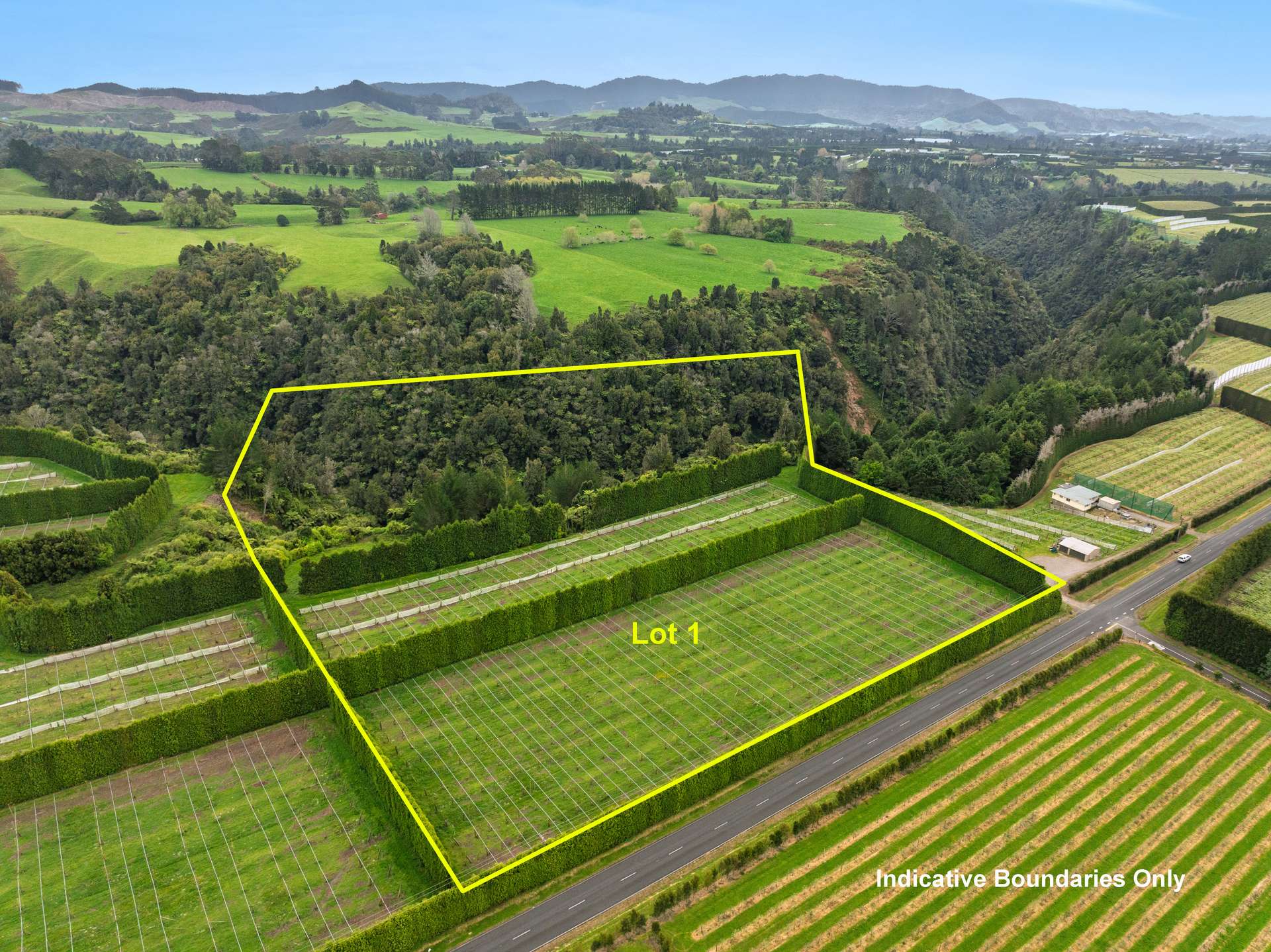 1010 Te Matai Road photo 1