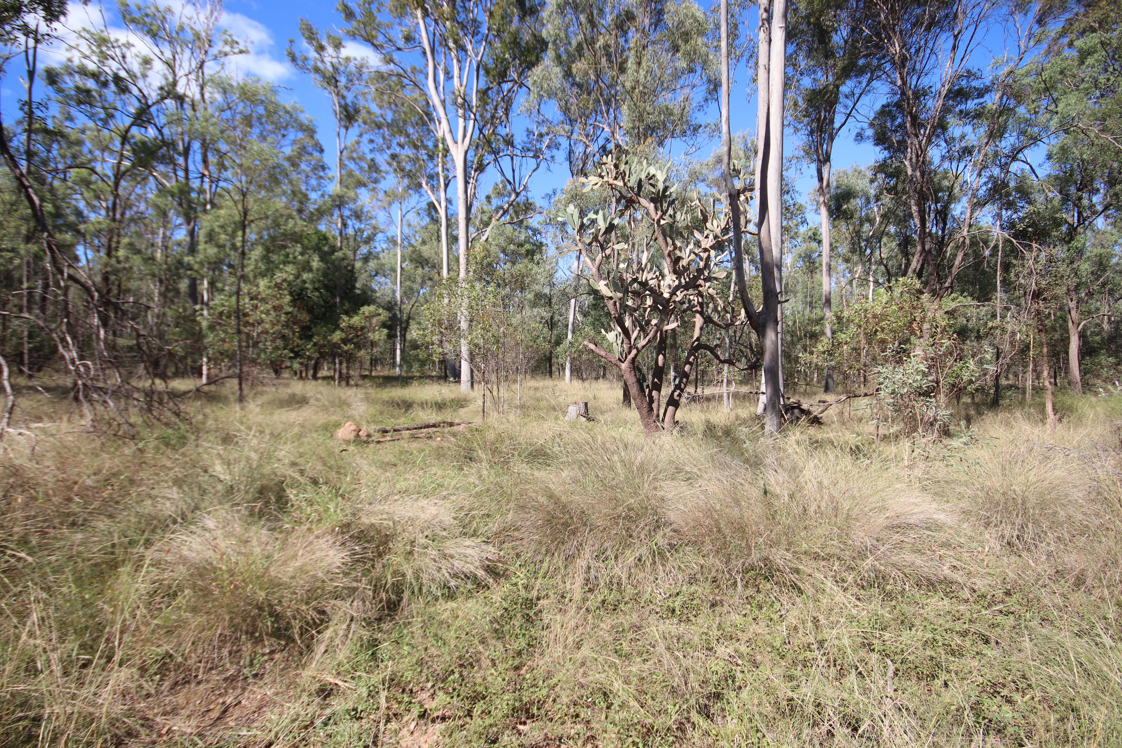 Lots 3, 11 & N Monogorilby Road — photo 9 of 11