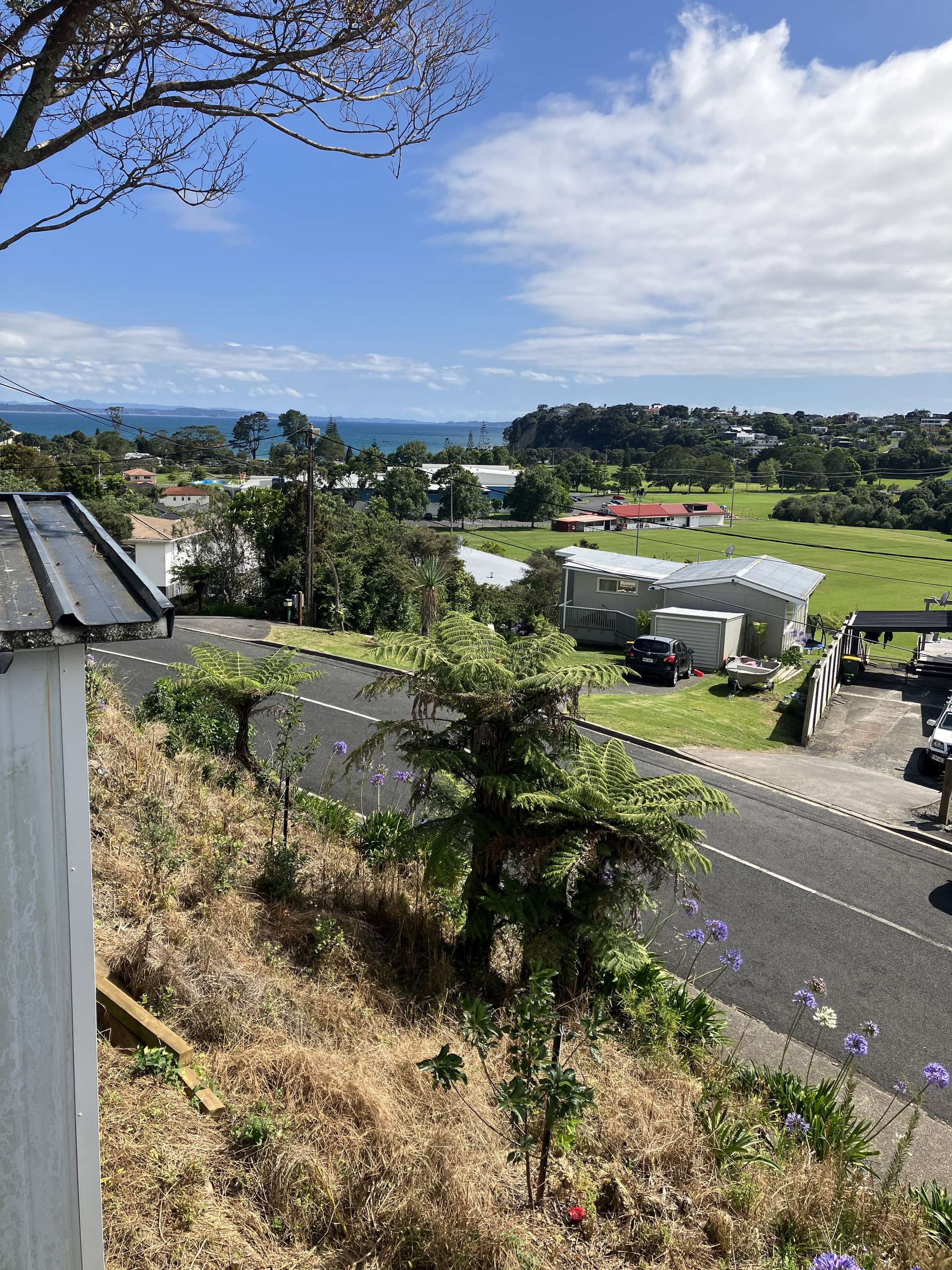 A/5 Rimu Road photo 3