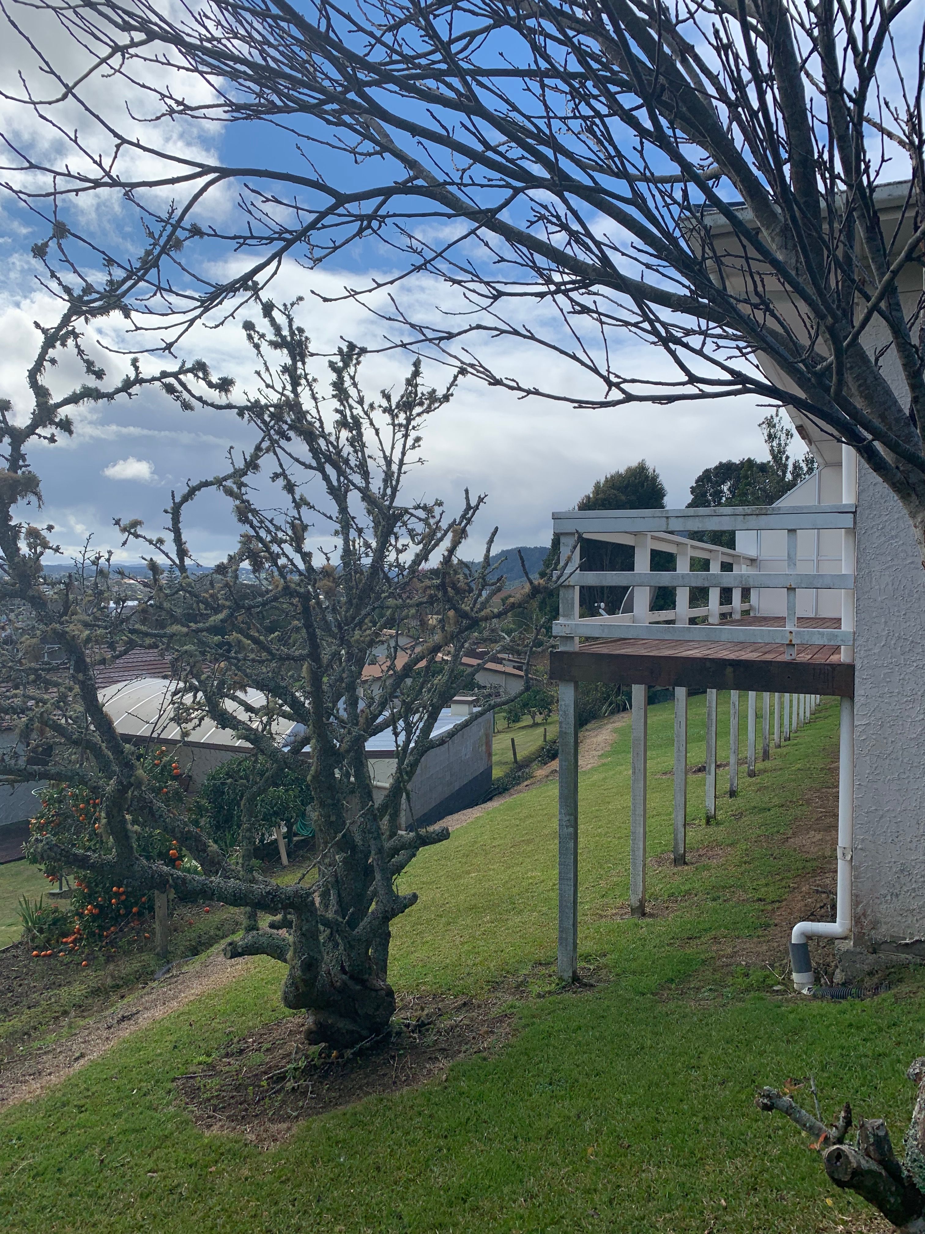 40C Anzac Road, Morningside, Whangarei District