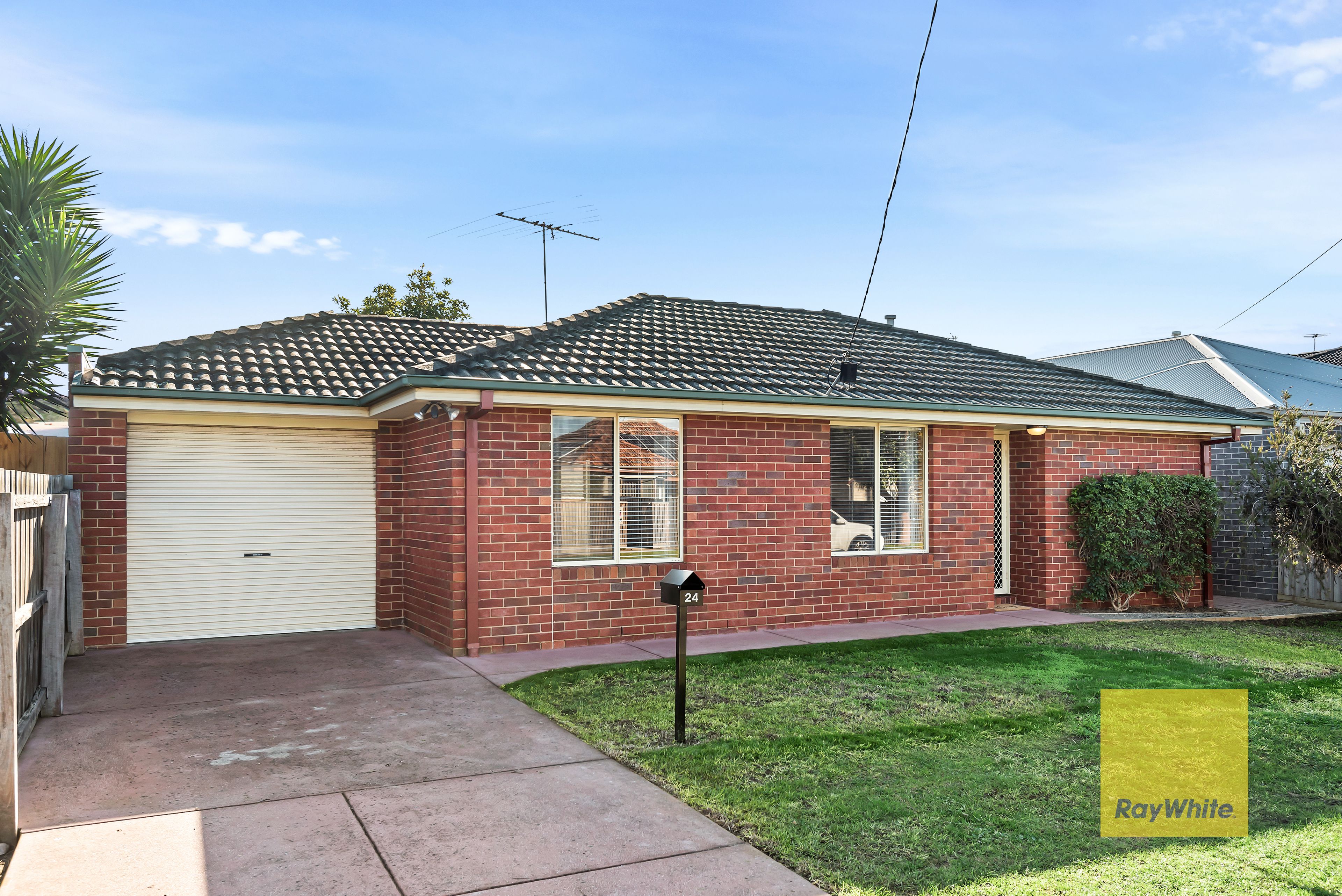 24 Watson Avenue, Belmont VIC 3216